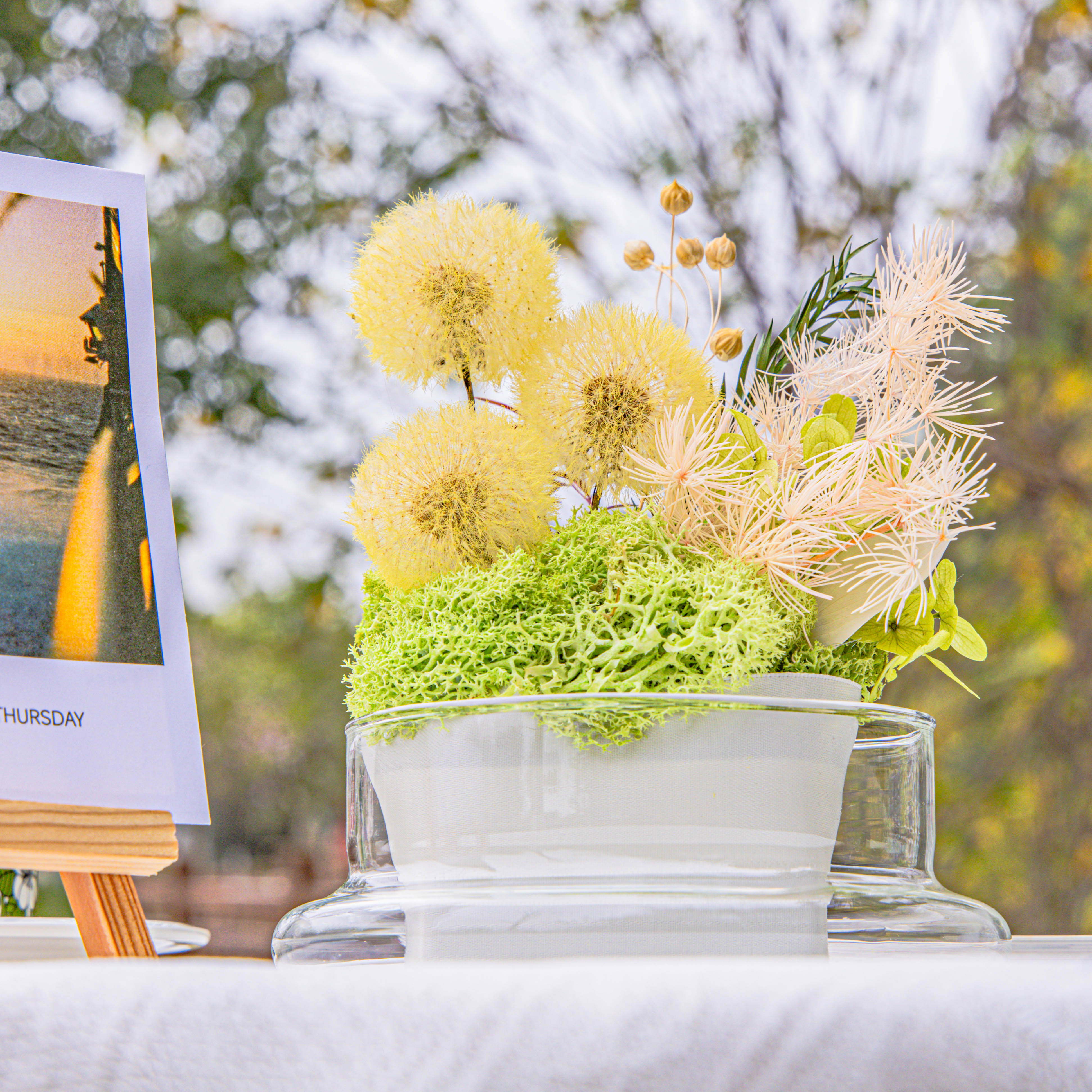 Yellow Presered Dandelion Set 3 pcs Dried Flowers, DIY Material for Bouquet - NCYPgarden