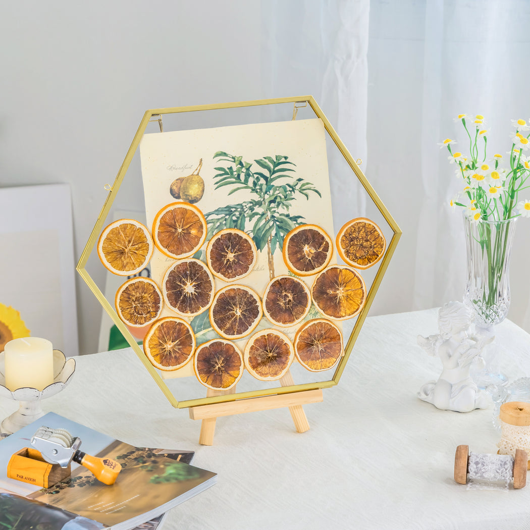 Wall Hanging Hexagon 12" Herbarium Brass Glass Frame for Thick Pressed Flowers, Dried Flowers, Poster, Coin, Double Glass, floating Frame - NCYPgarden