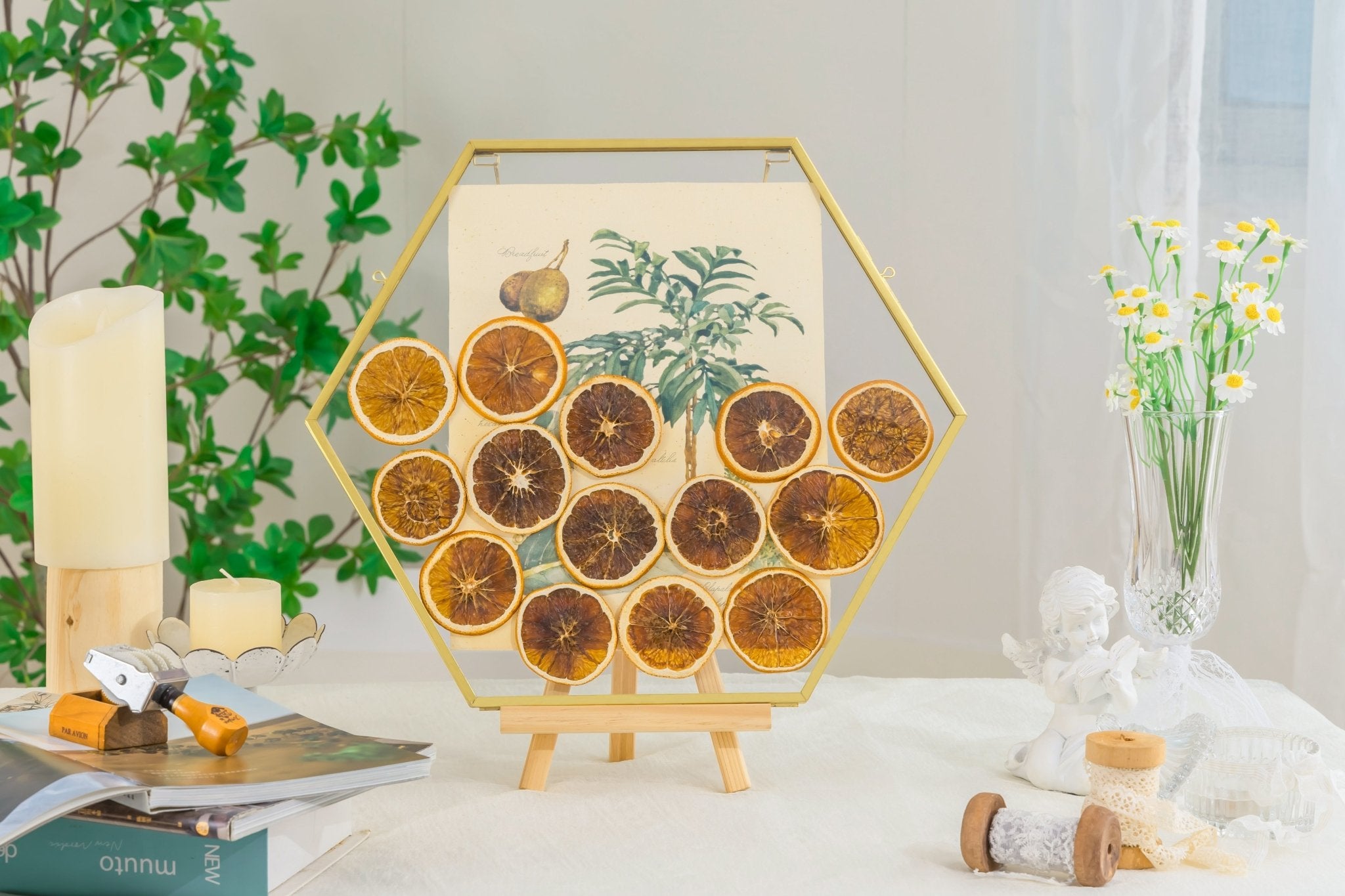 frame for hanging plants Wall Hanging Hexagon 12" Herbarium Brass Glass Frame for Thick Pressed Flowers, Dried Flowers, Poster, Coin, Double Glass, floating Frame