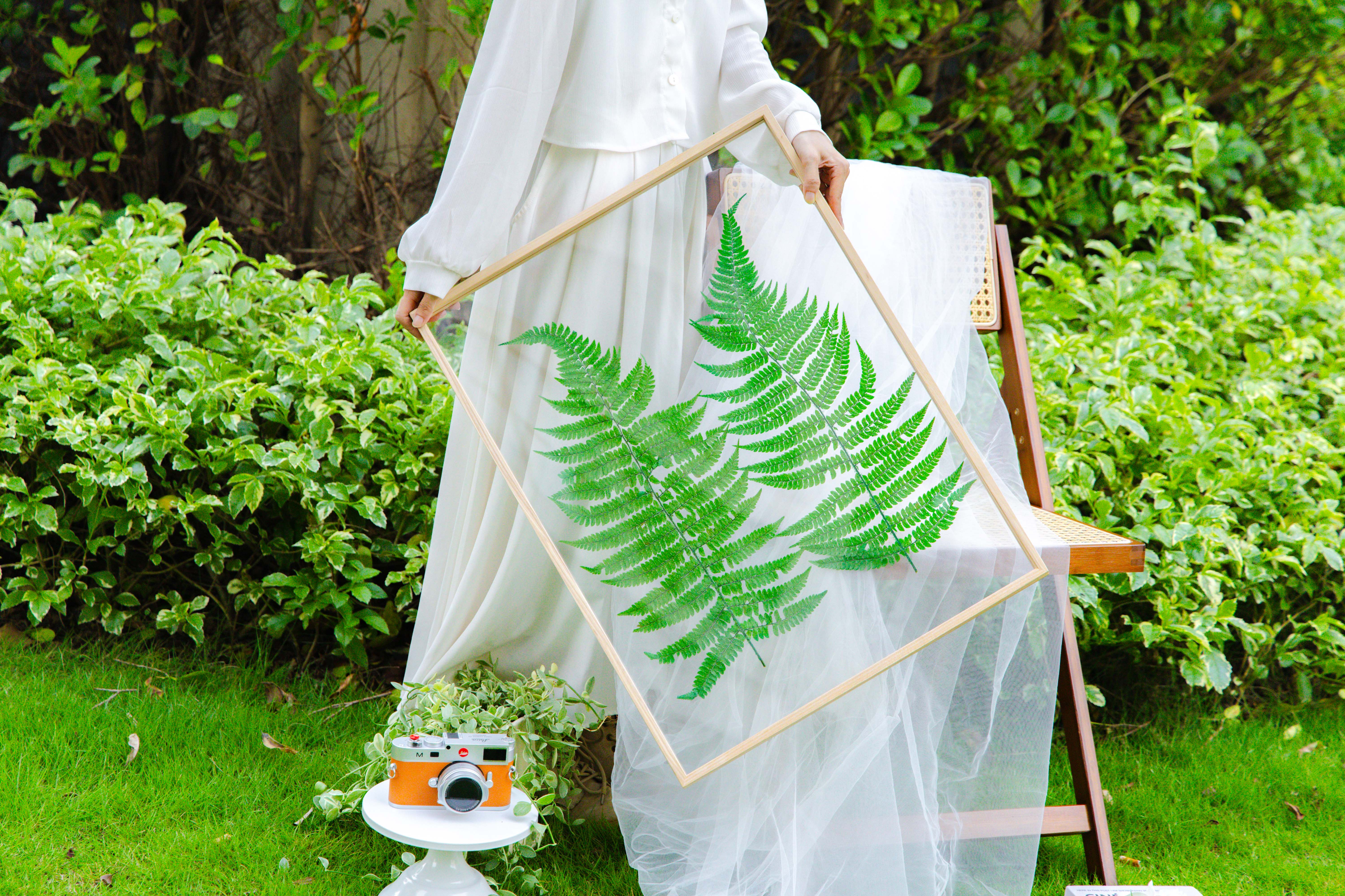 Customizable  NCYP Handmade 18x24" 20x24" Tabletop Wall Hanging Natural Wood Acrylic Artwork  Floating Frame - NCYPgarden