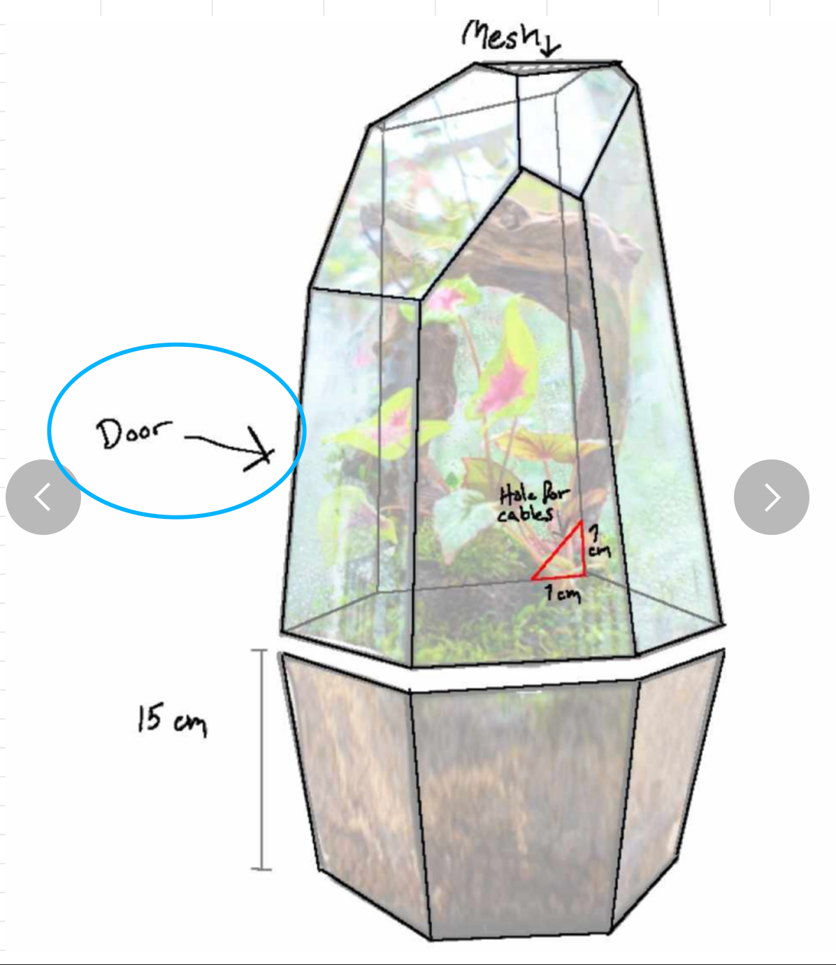 custommade two part terrarium – NCYPgarden