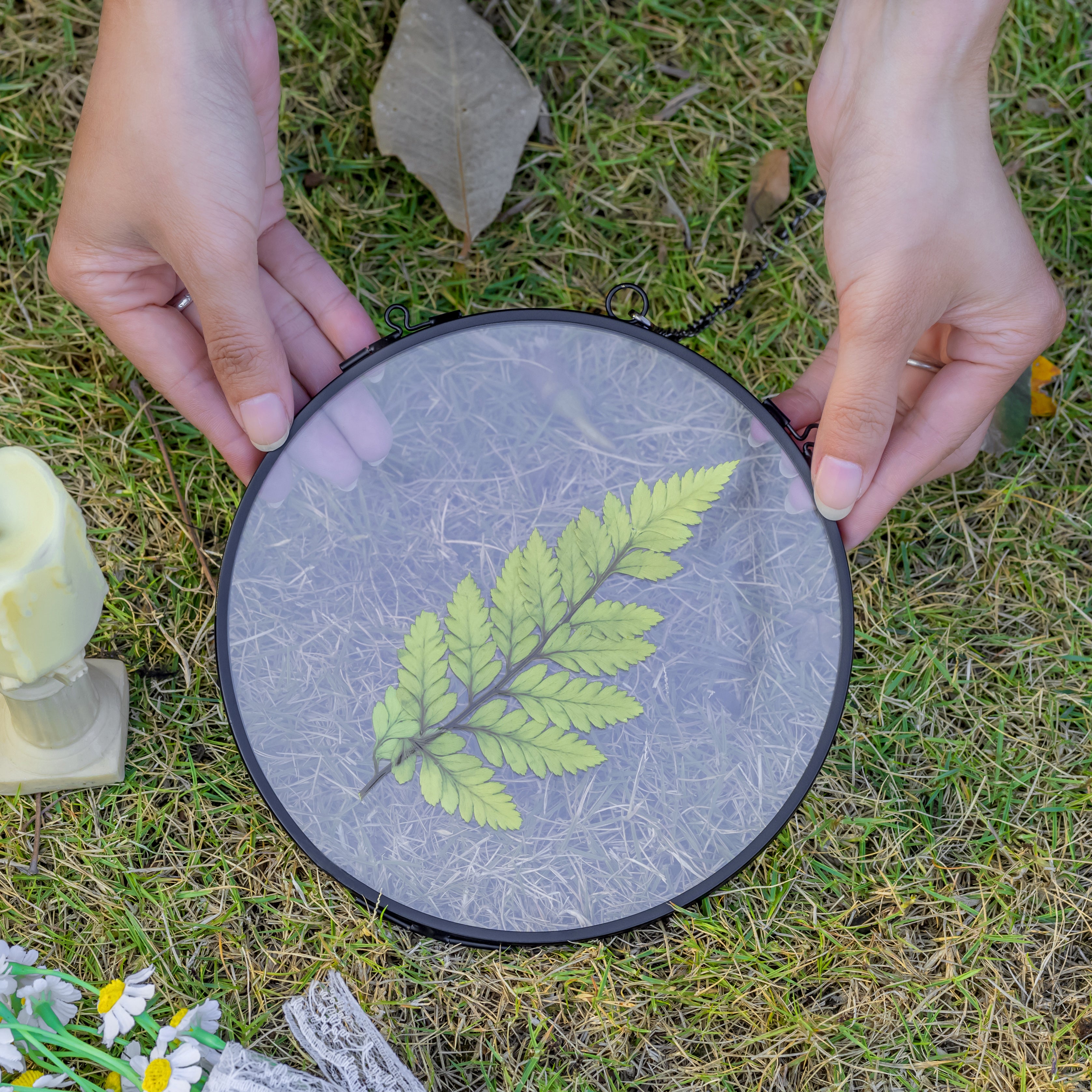 6" Black Wall Hanging RoundHerbarium Brass Glass Frame for Pressed Flowers, Poster, Double Glass, floating Frame - NCYPgarden