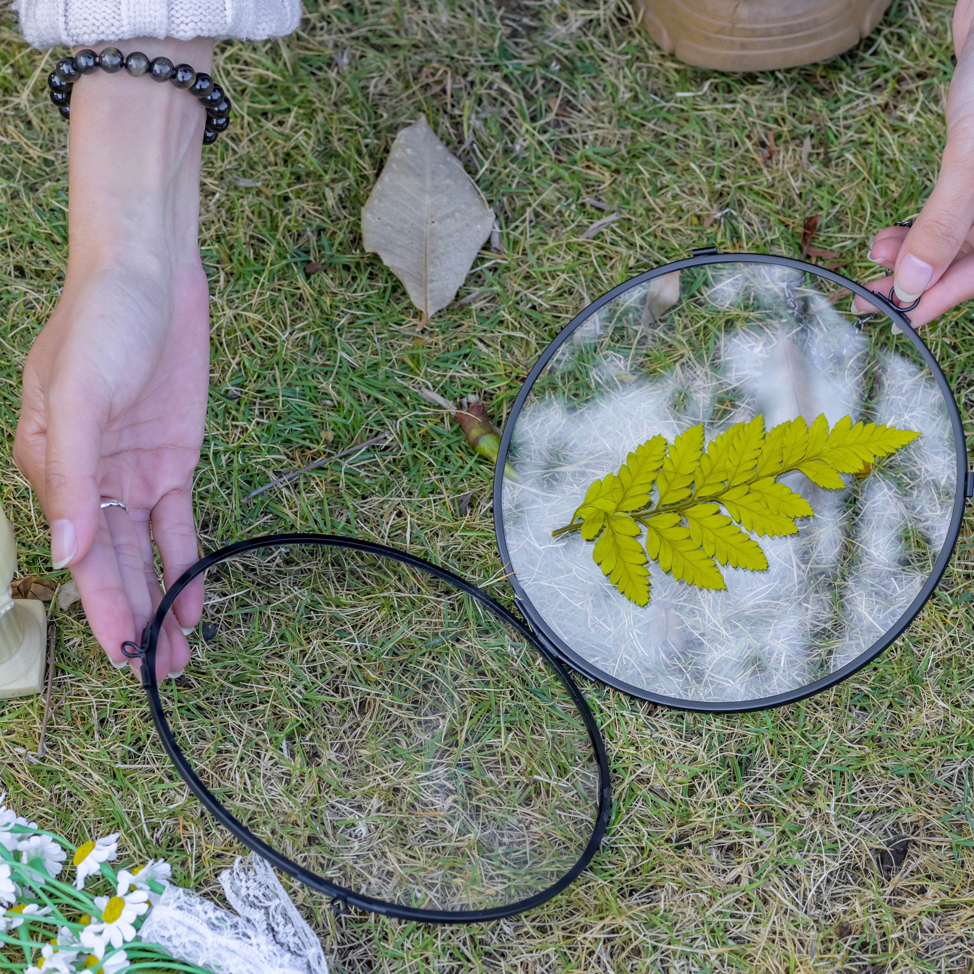 6" Black Wall Hanging RoundHerbarium Brass Glass Frame for Pressed Flowers, Poster, Double Glass, floating Frame - NCYPgarden