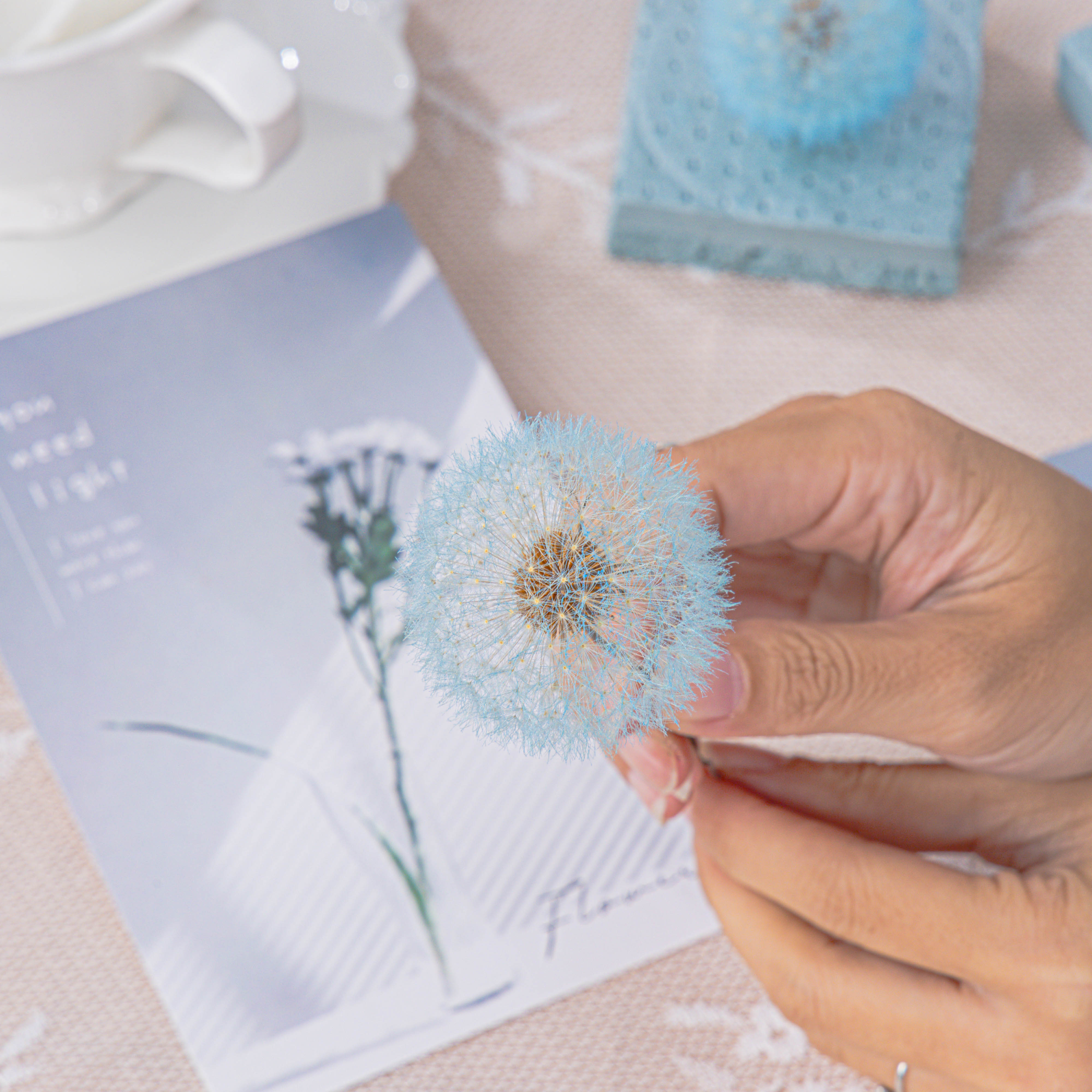 Sky Blue Presered Dandelion Set 3 pcs Dried Flowers, DIY Material for Bouquet - NCYPgarden