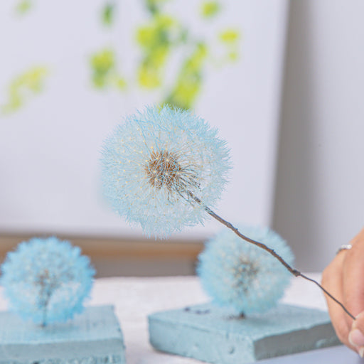 Sky Blue Presered Dandelion Set 3 pcs Dried Flowers, DIY Material for Bouquet - NCYPgarden