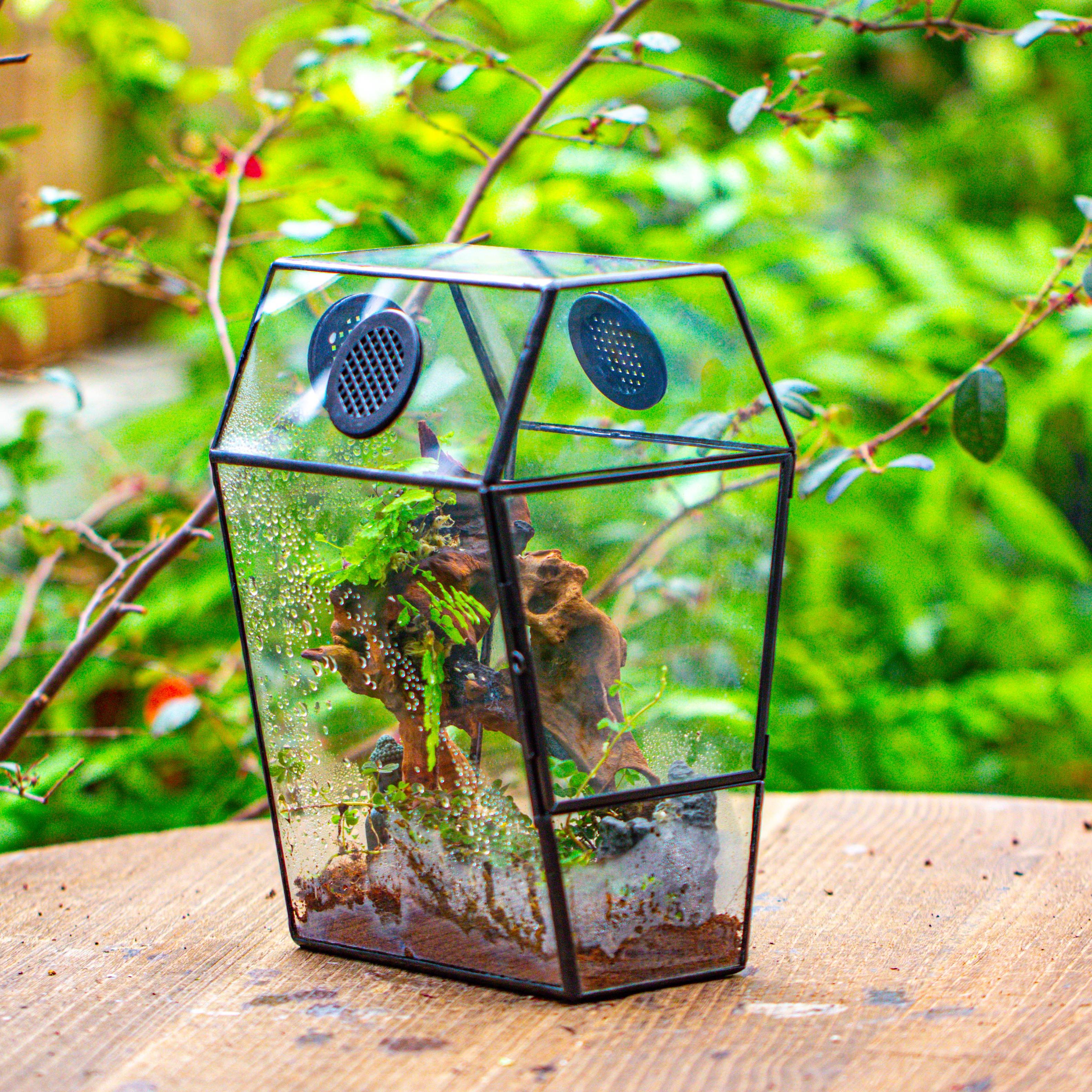 Coffin-Shaped Tin Glass Terrarium Enclosure, Gothic Style, for Jumping Spider, Insects, Snails - NCYPgarden