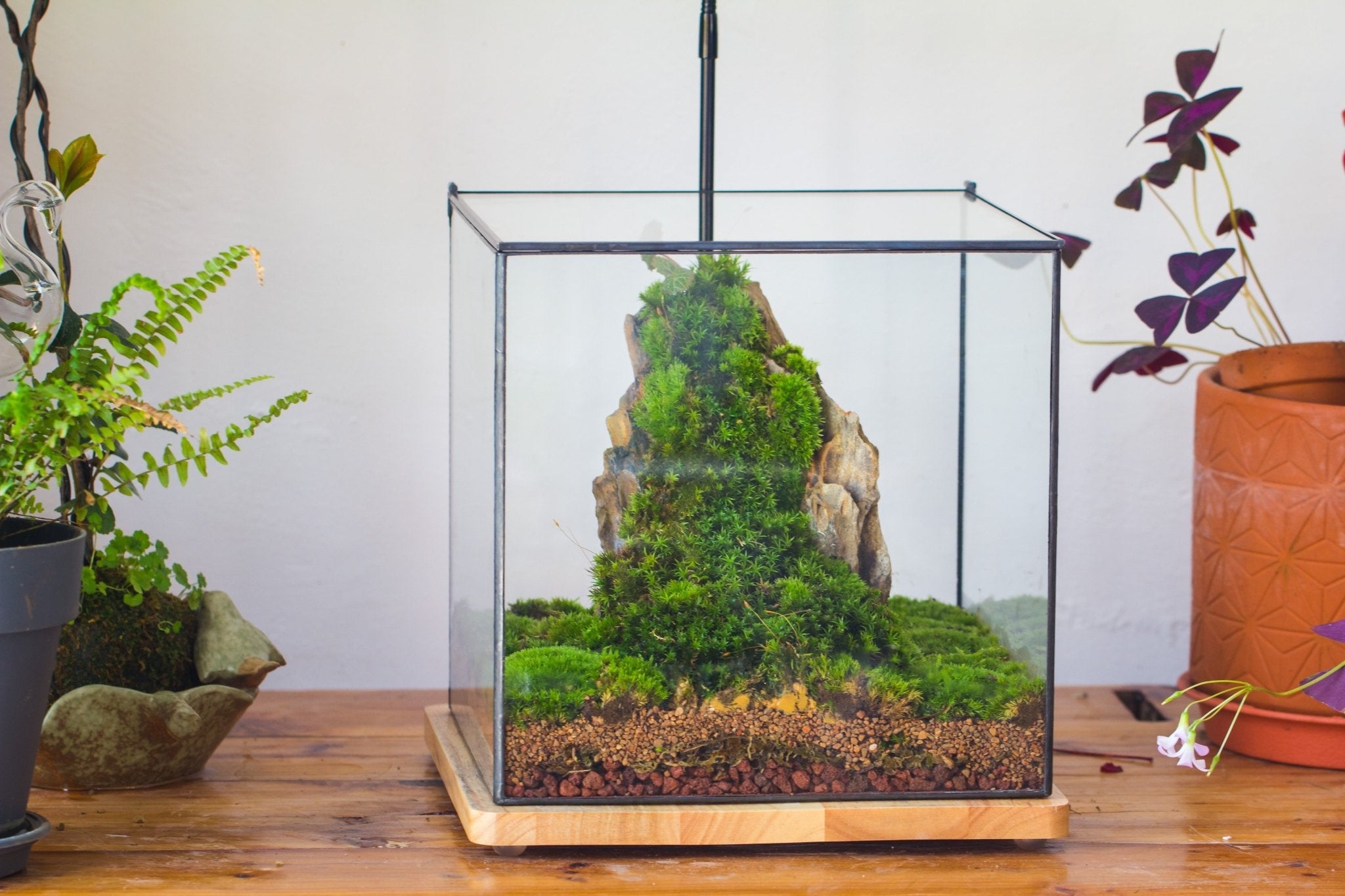 Basic Terrarium Watertight 10