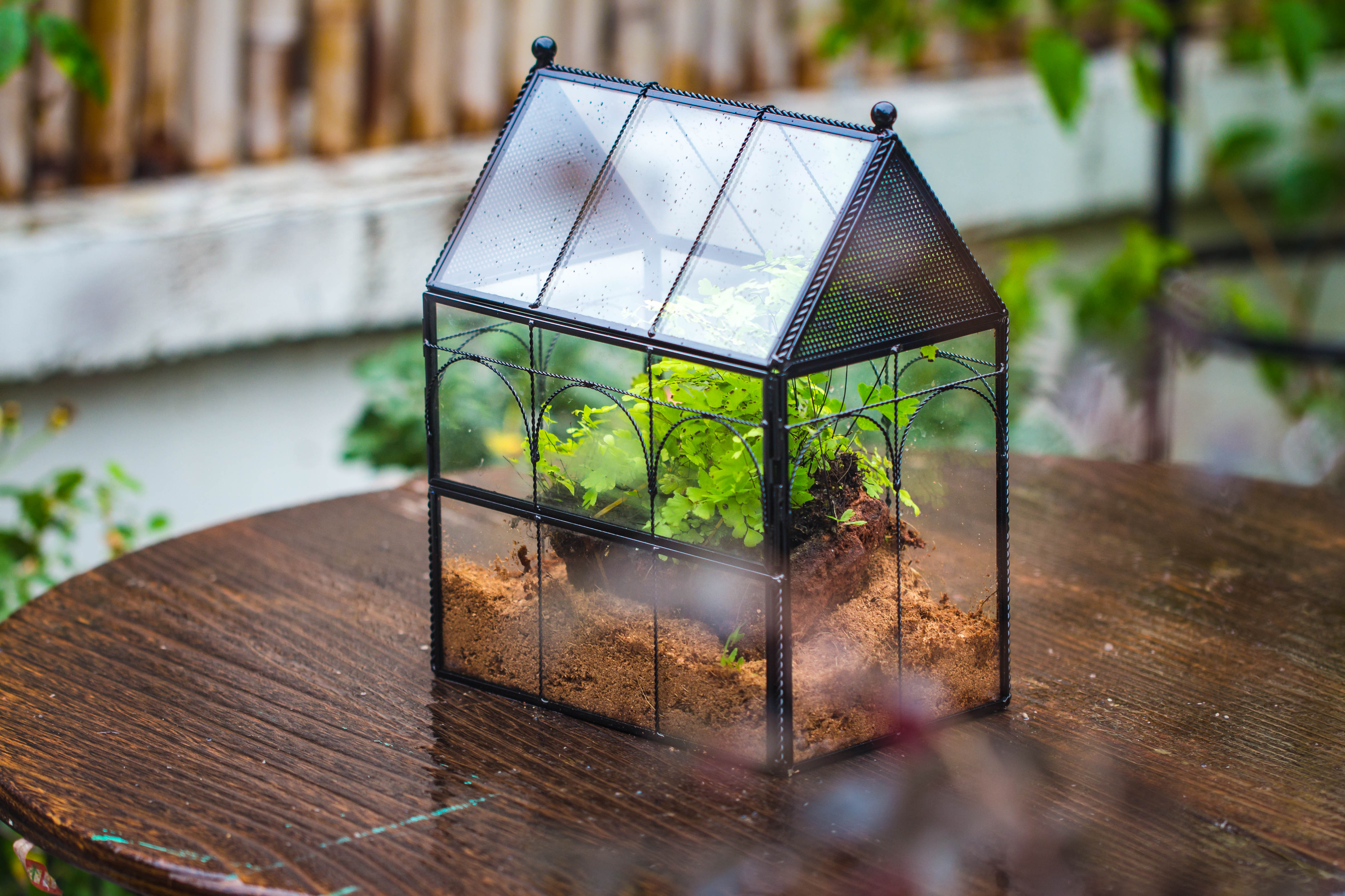 NCYP Vintage House Shape Tin and Glass Geometric Terrarium, with side door, with Mesh / vent holes for small Insects Pet - NCYPgarden