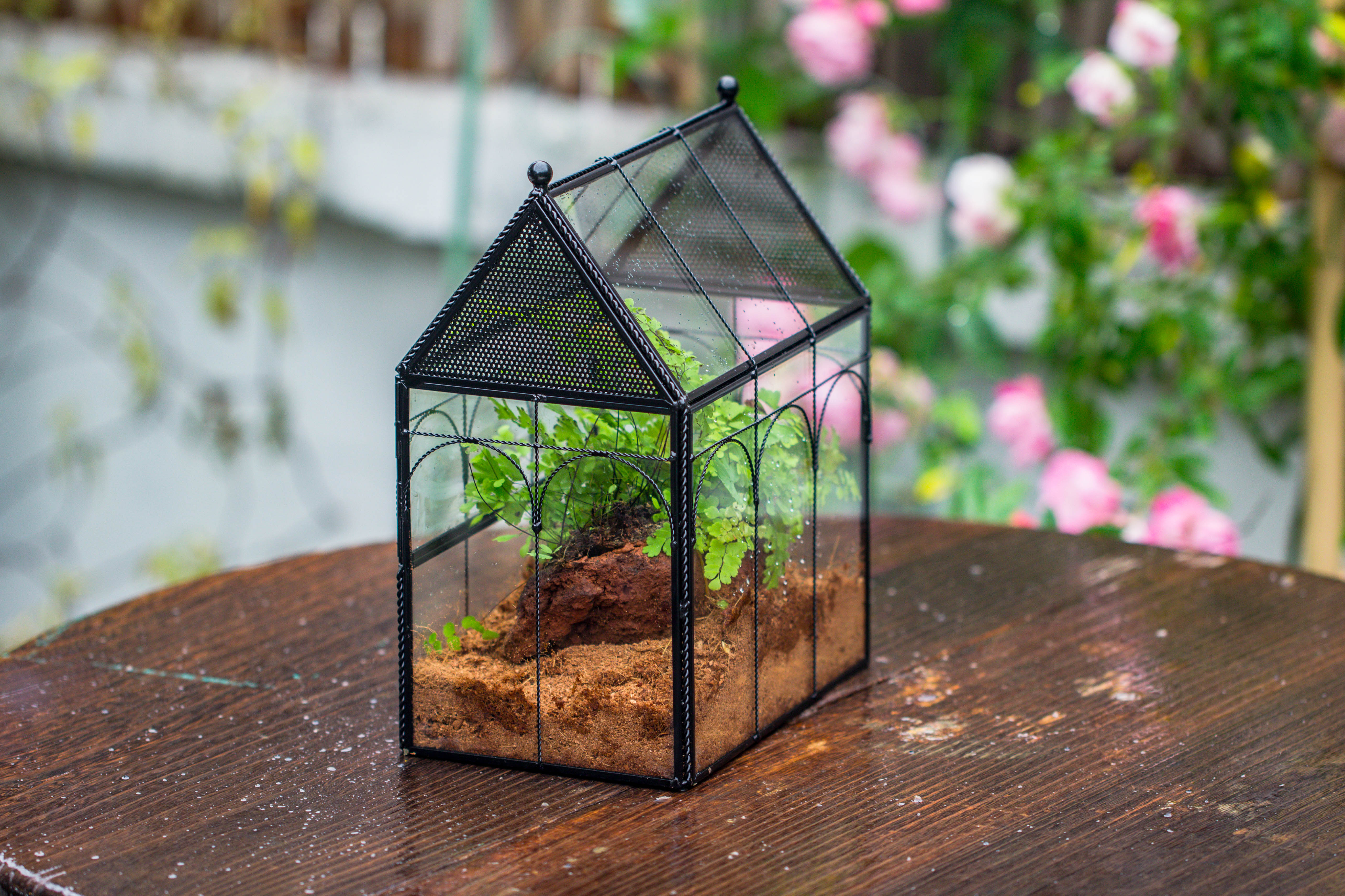 NCYP Vintage House Shape Tin and Glass Geometric Terrarium, with side door, with Mesh / vent holes for small Insects Pet - NCYPgarden