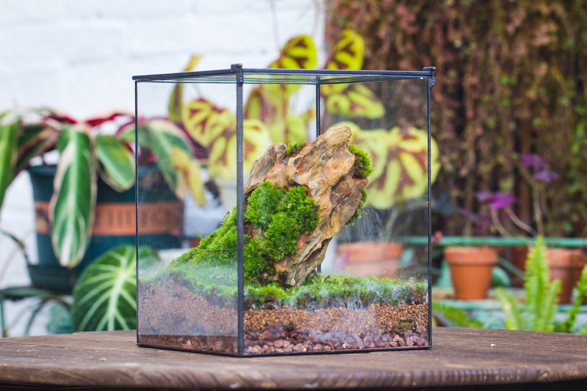 Basic Terrarium Watertight 10