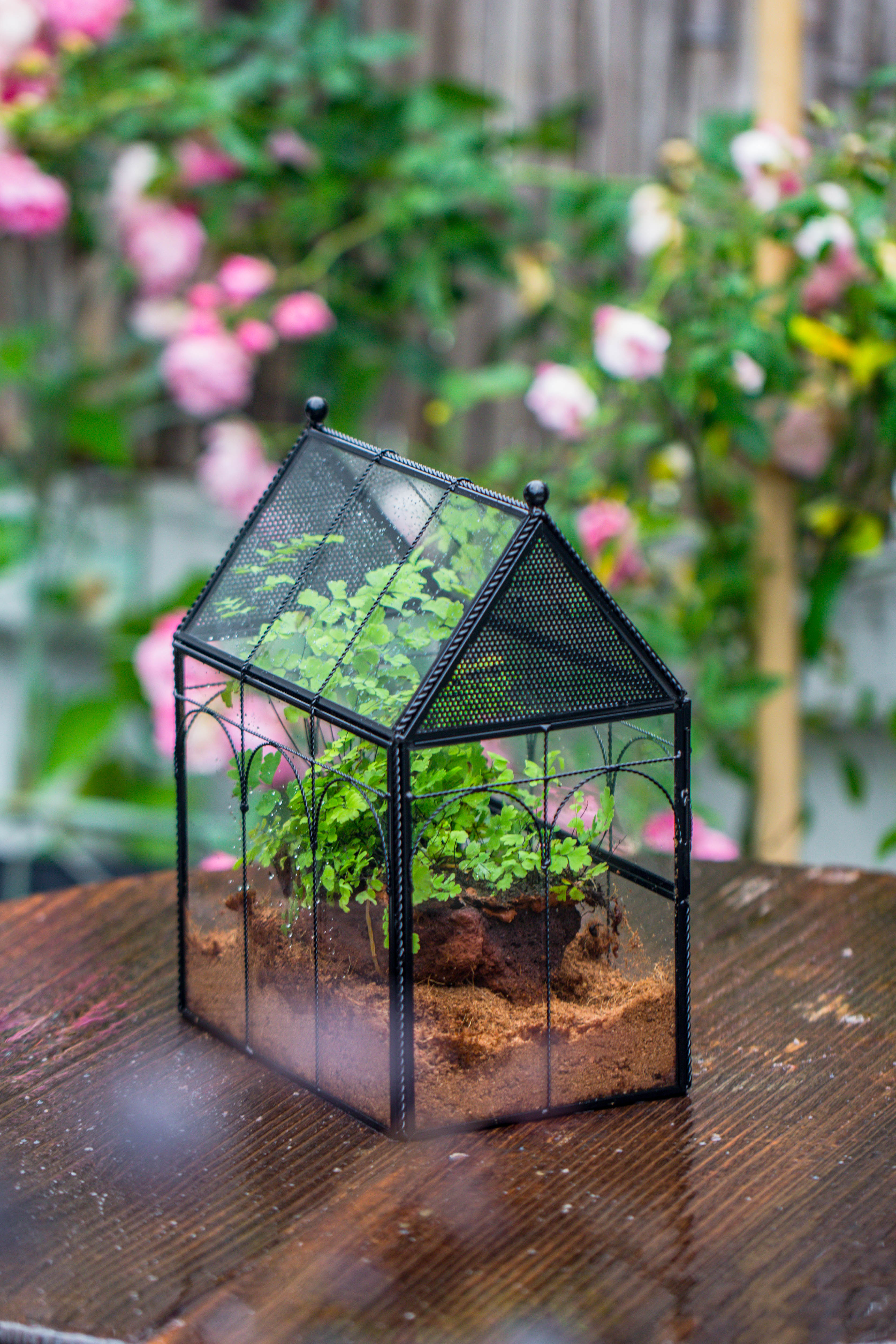 Handmade Twisted Wire House Shape Glass Geometric Terrarium with LED Light Set, Snail Jumping Spider Enclosure, Insect Container Set - NCYPgarden