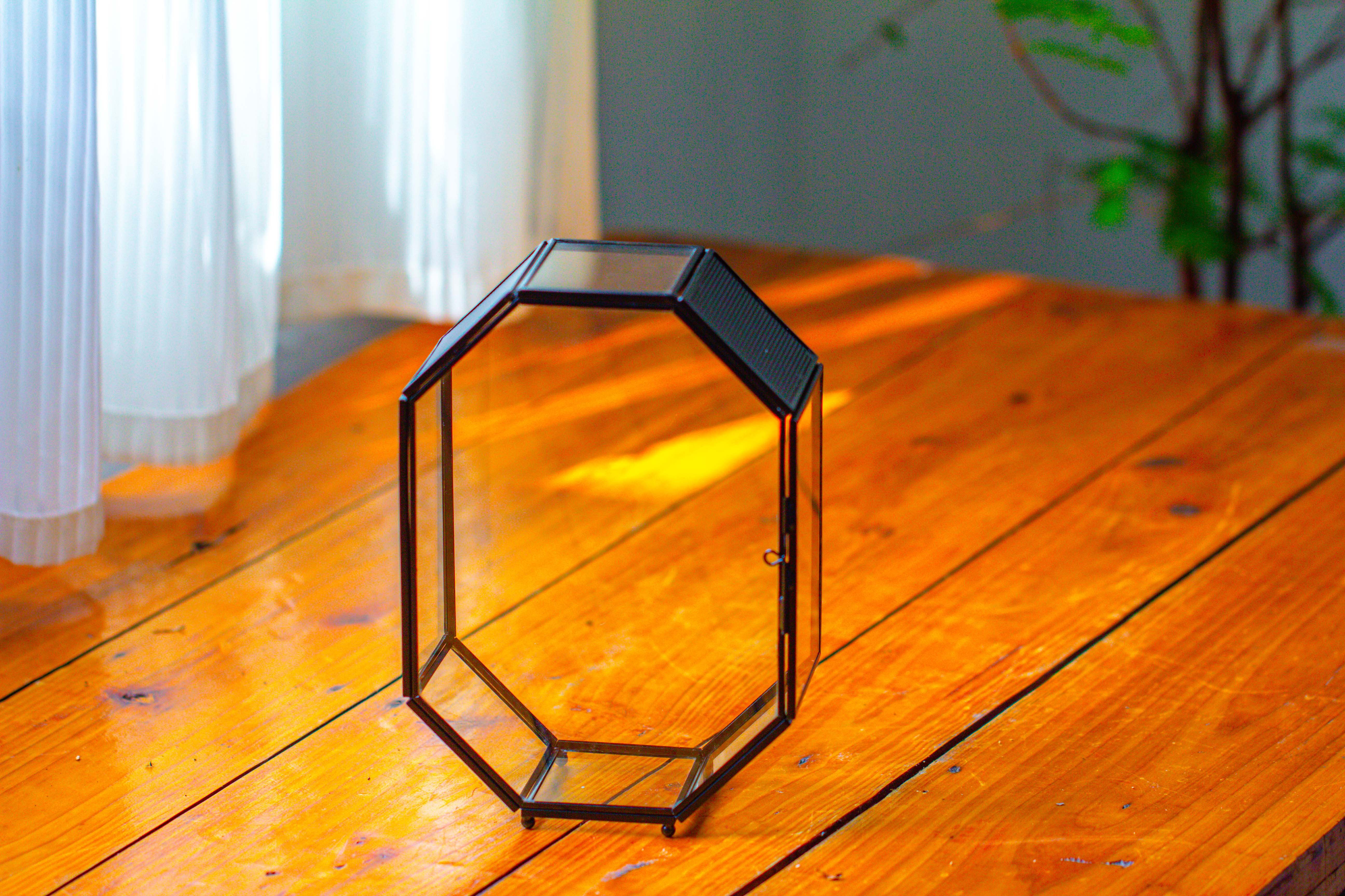 NCYP Octagon 6x8 inches Geometric Terrarium with vents for small insects - NCYPgarden