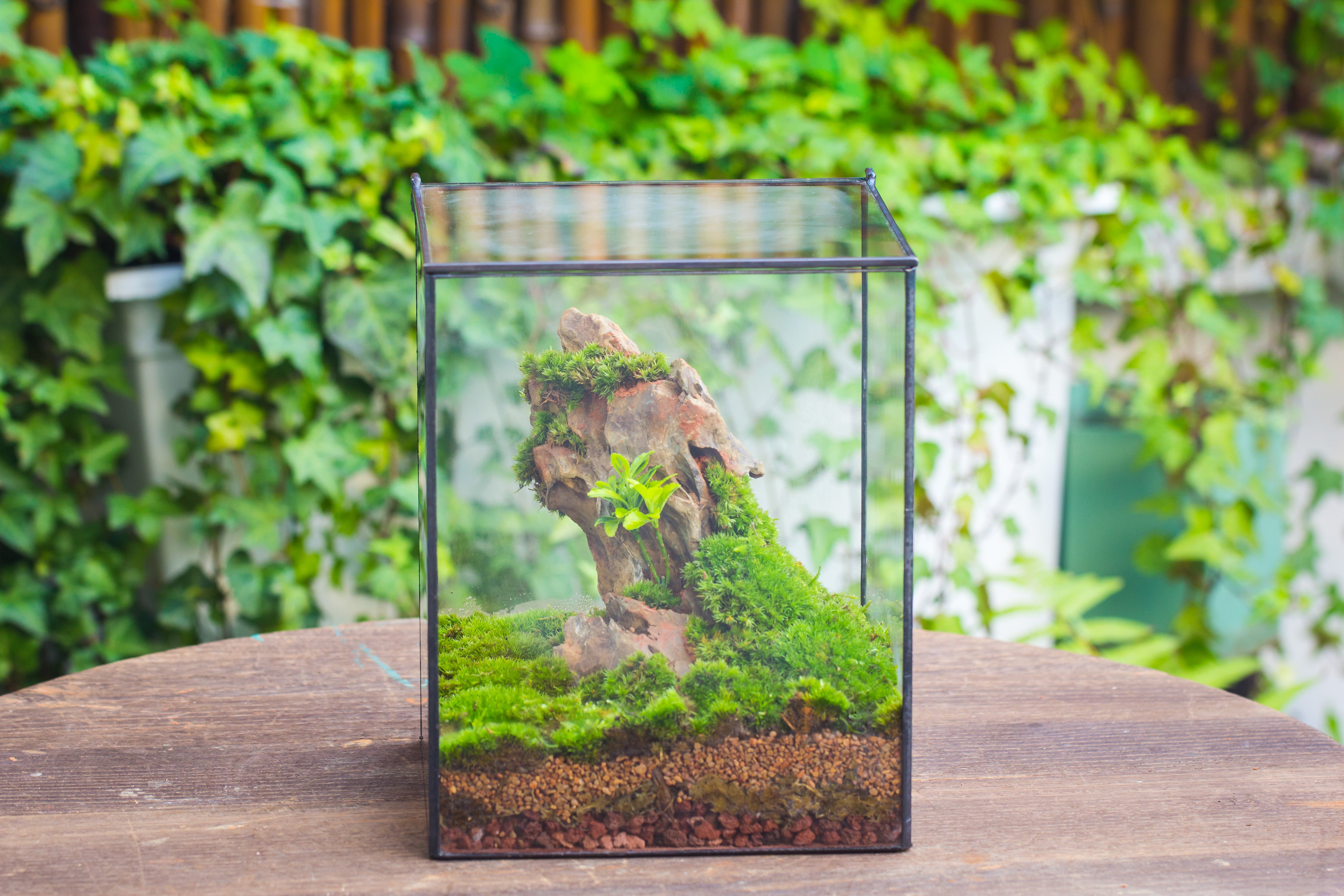 Handmade 8x8x10'' Cube Closed Geometric Glass Tin Terrarium with LED Grow Light Set - NCYPgarden