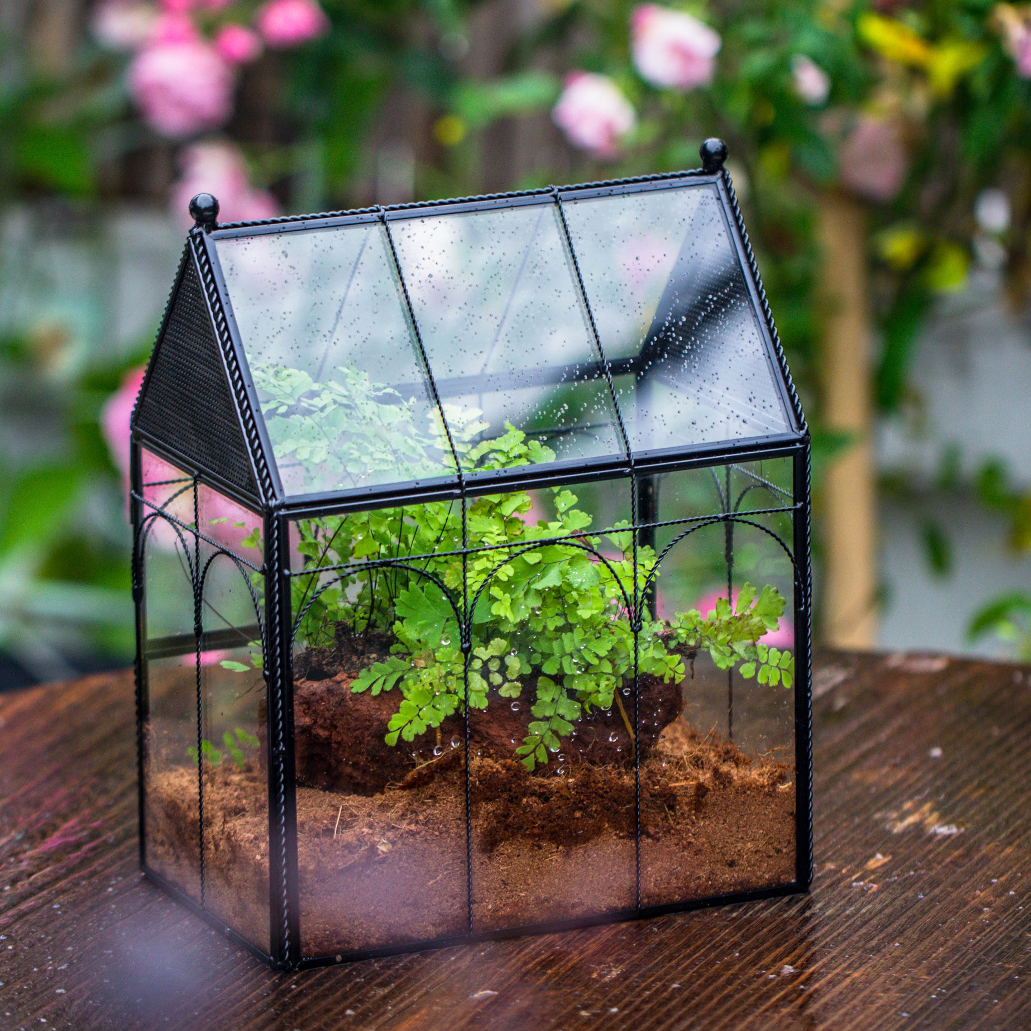 Handmade Twisted Wire House Shape Glass Geometric Terrarium with LED Light Set, Snail Jumping Spider Enclosure, Insect Container Set - NCYPgarden
