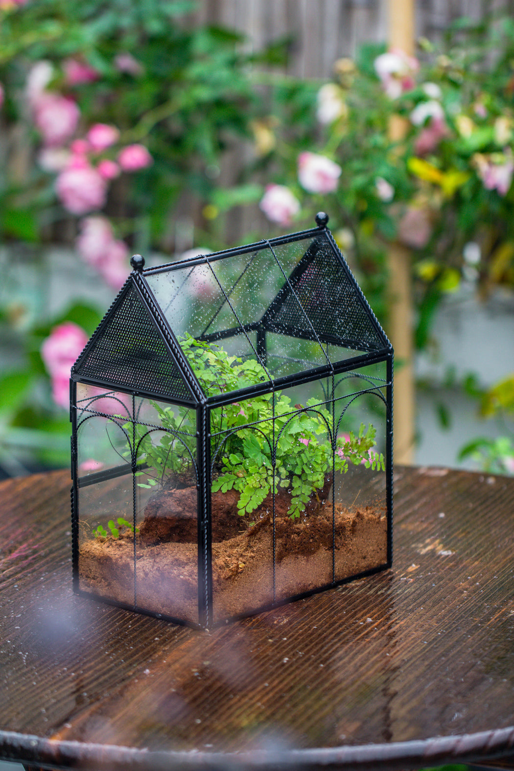 NCYP Vintage House Shape Tin and Glass Geometric Terrarium, with side door, with Mesh / vent holes for small Insects Pet - NCYPgarden