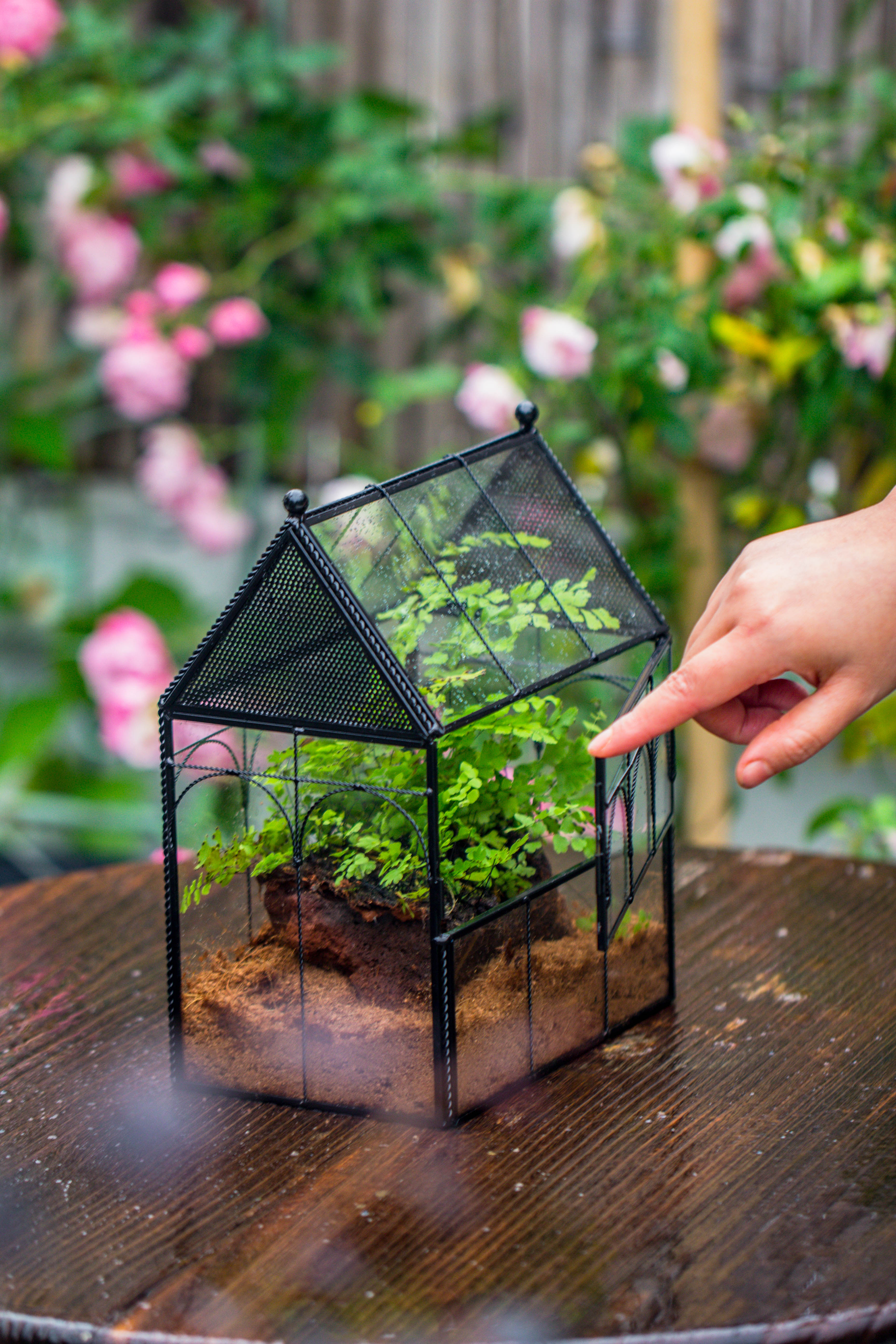 NCYP Vintage House Shape Tin and Glass Geometric Terrarium, with side door, with Mesh / vent holes for small Insects Pet - NCYPgarden