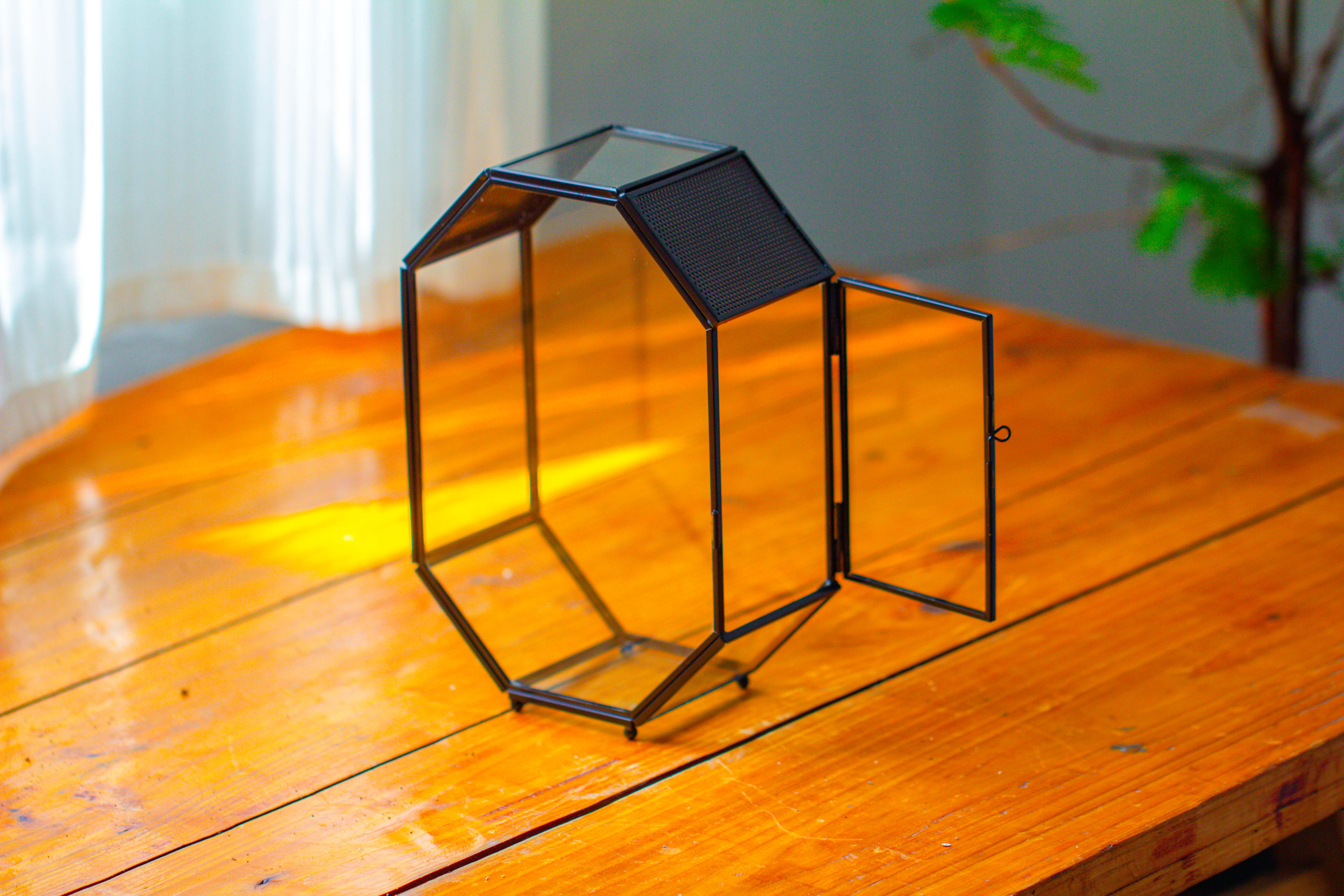NCYP Octagon 6x8 inches Geometric Terrarium with vents for small insects - NCYPgarden