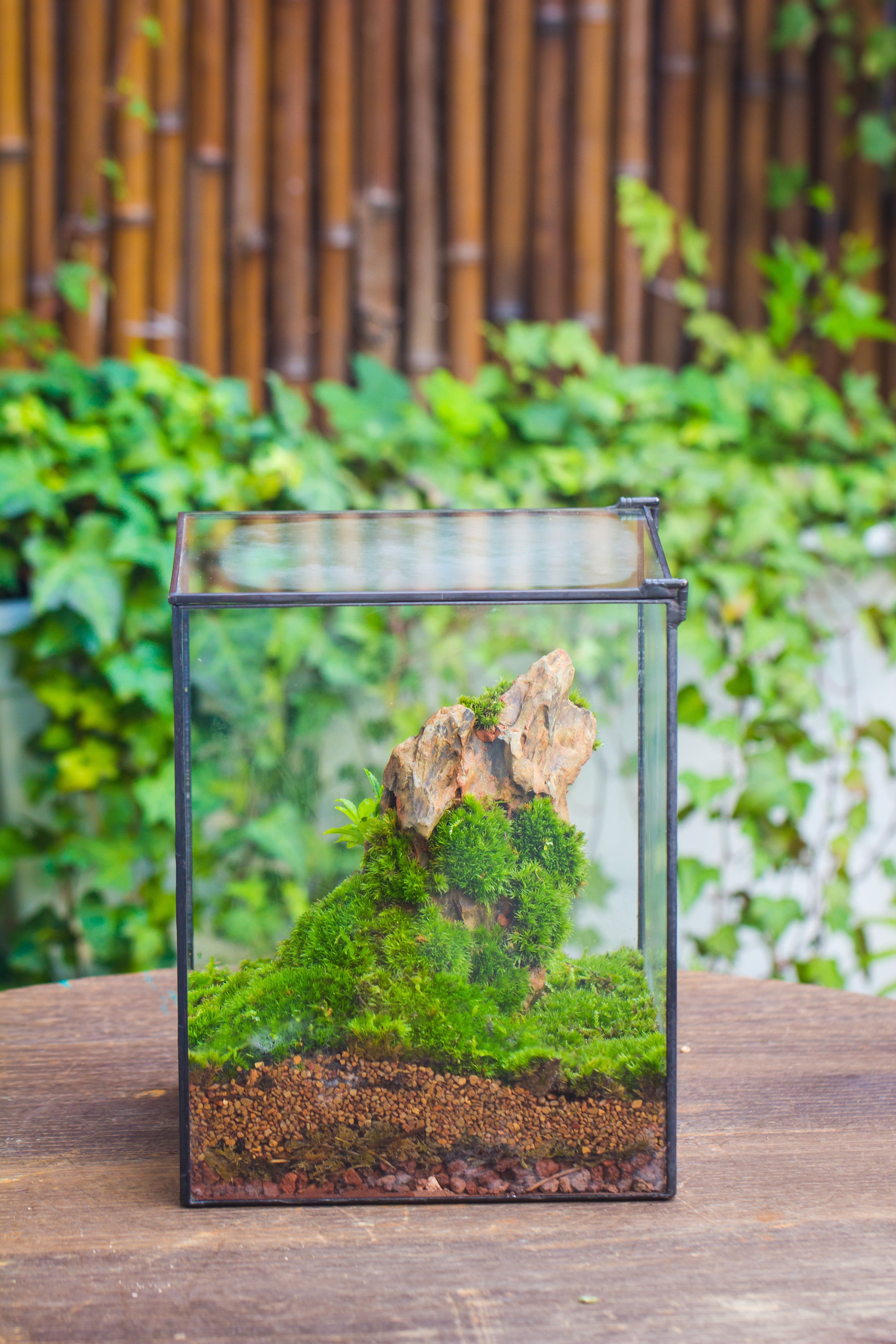 Basic Terrarium 10