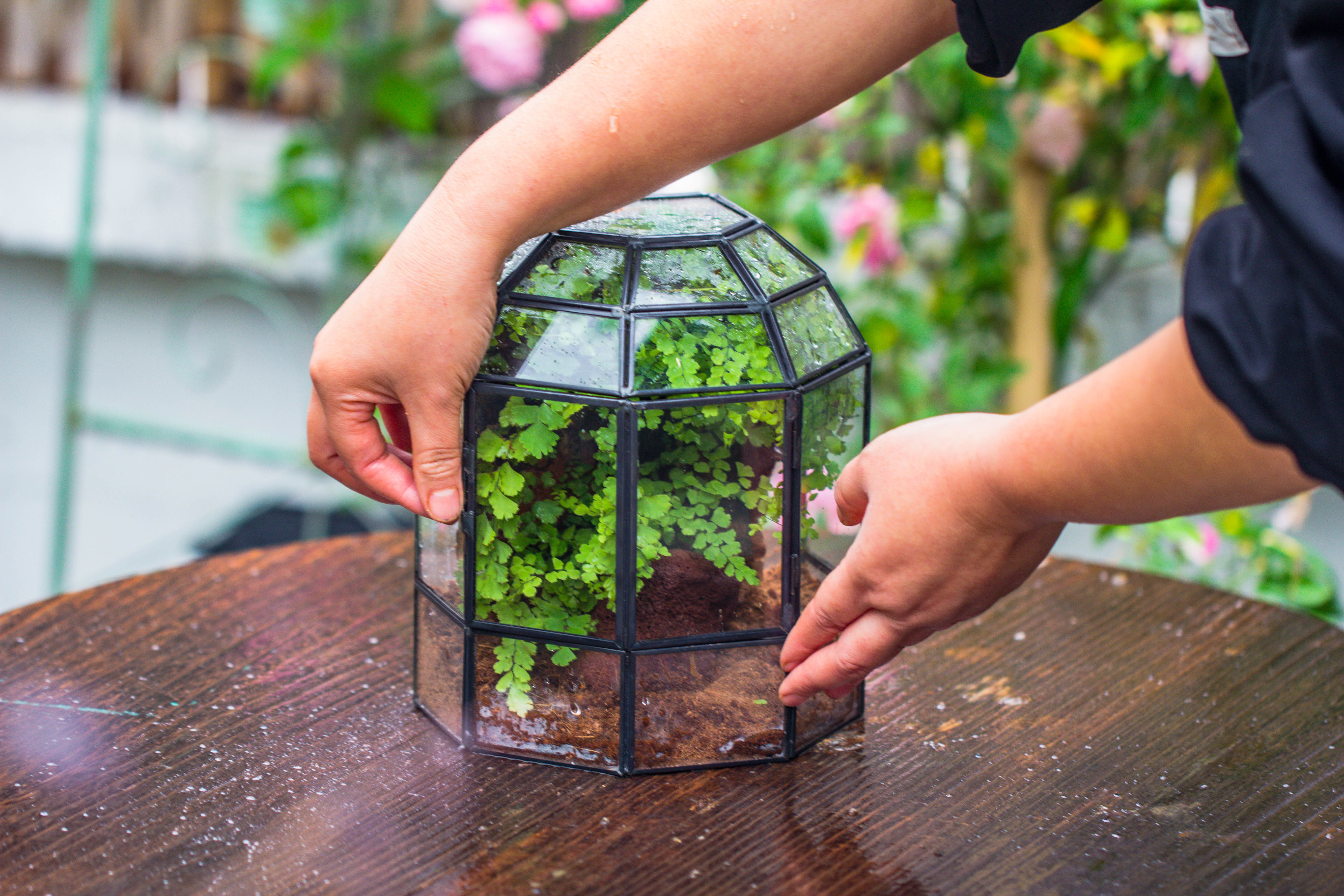 NCYP Half Dome Geometric Glass Terrarium Round, Closed Succulents Planter Pot Miniature Landscape Bonsai Container - NCYPgarden