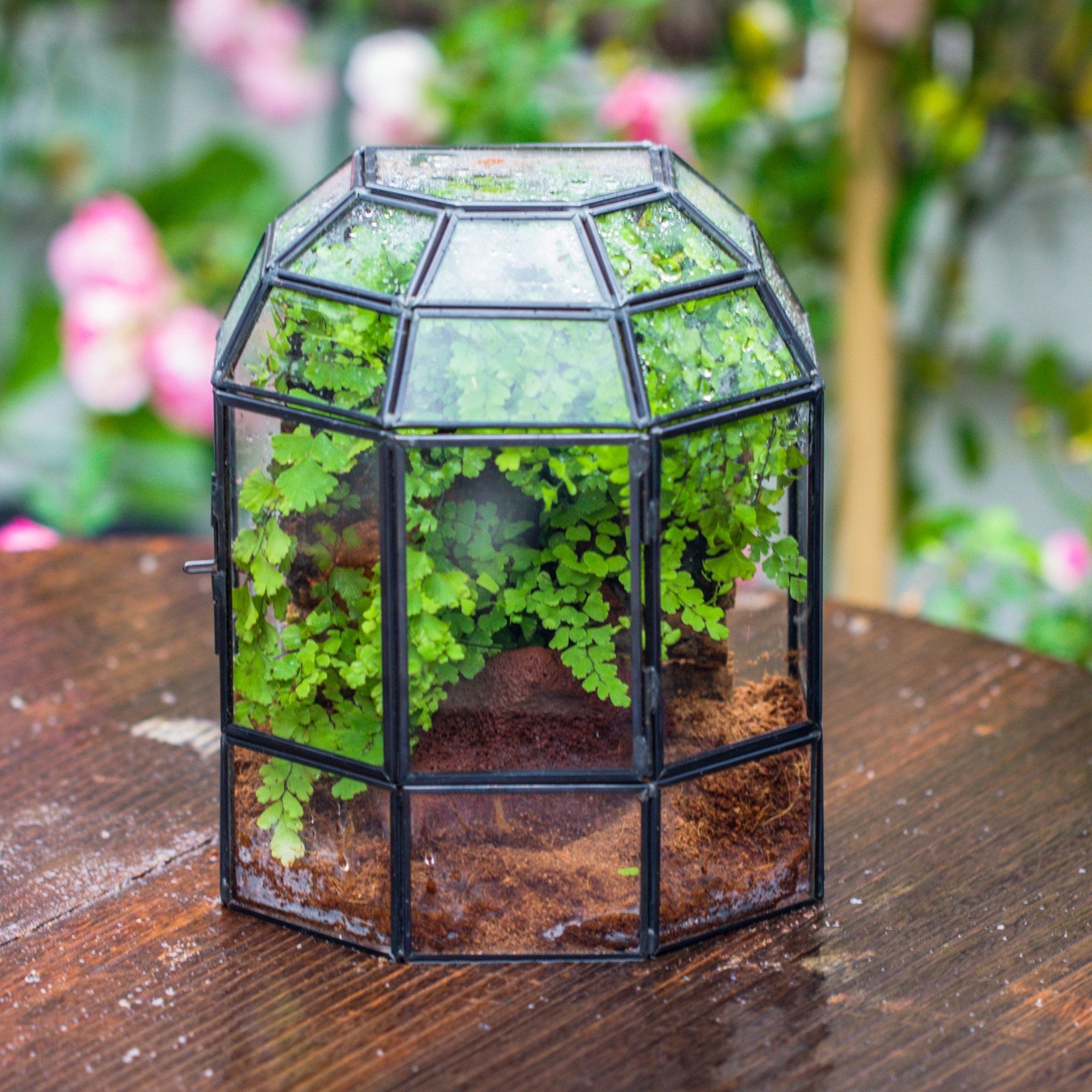 geometric glass succulent planter NCYP Half Dome Geometric Glass Terrarium Round, Closed Succulents Planter Pot Miniature Landscape Bonsai Container
