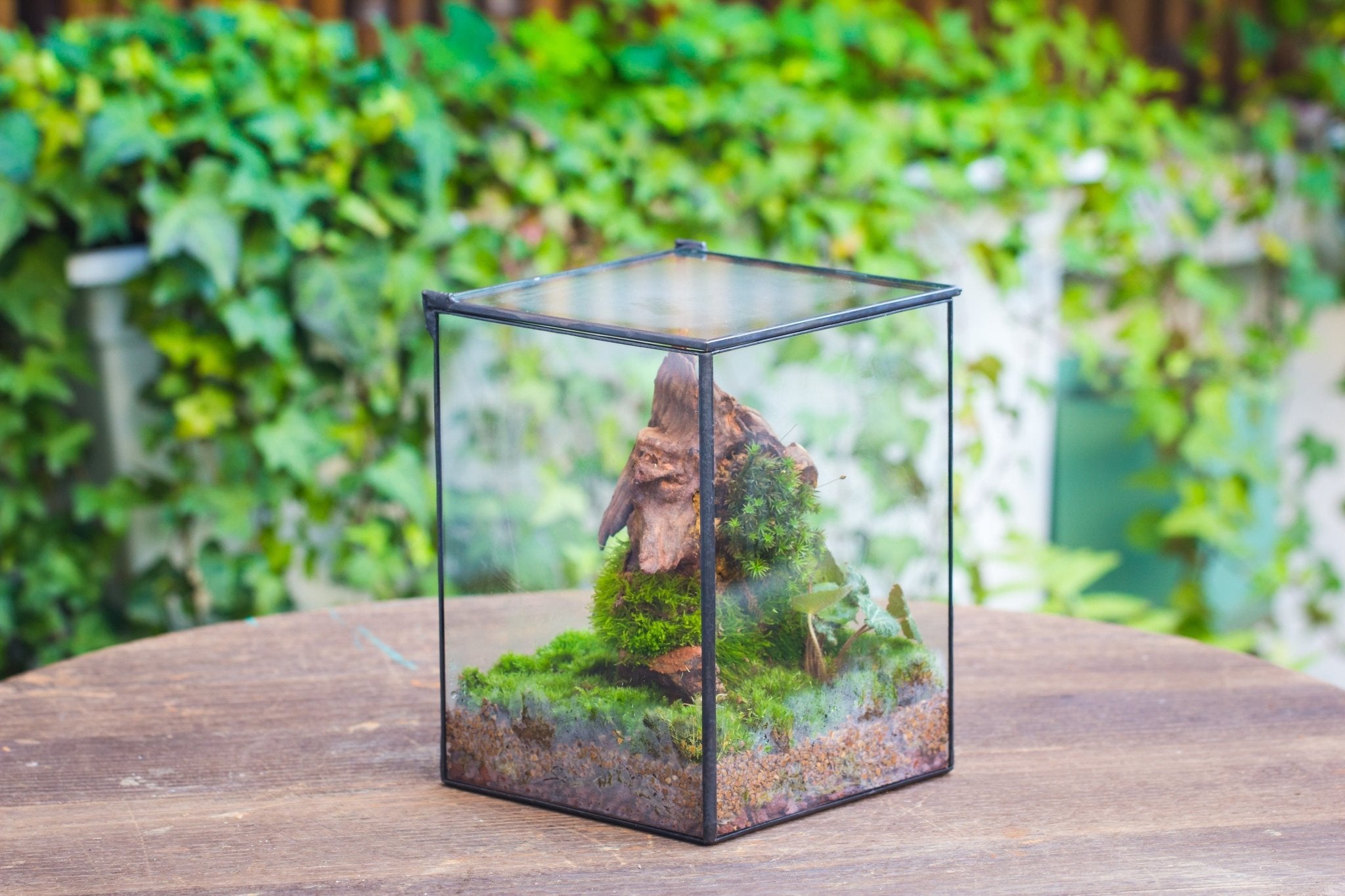Basic Terrarium Watertight 10