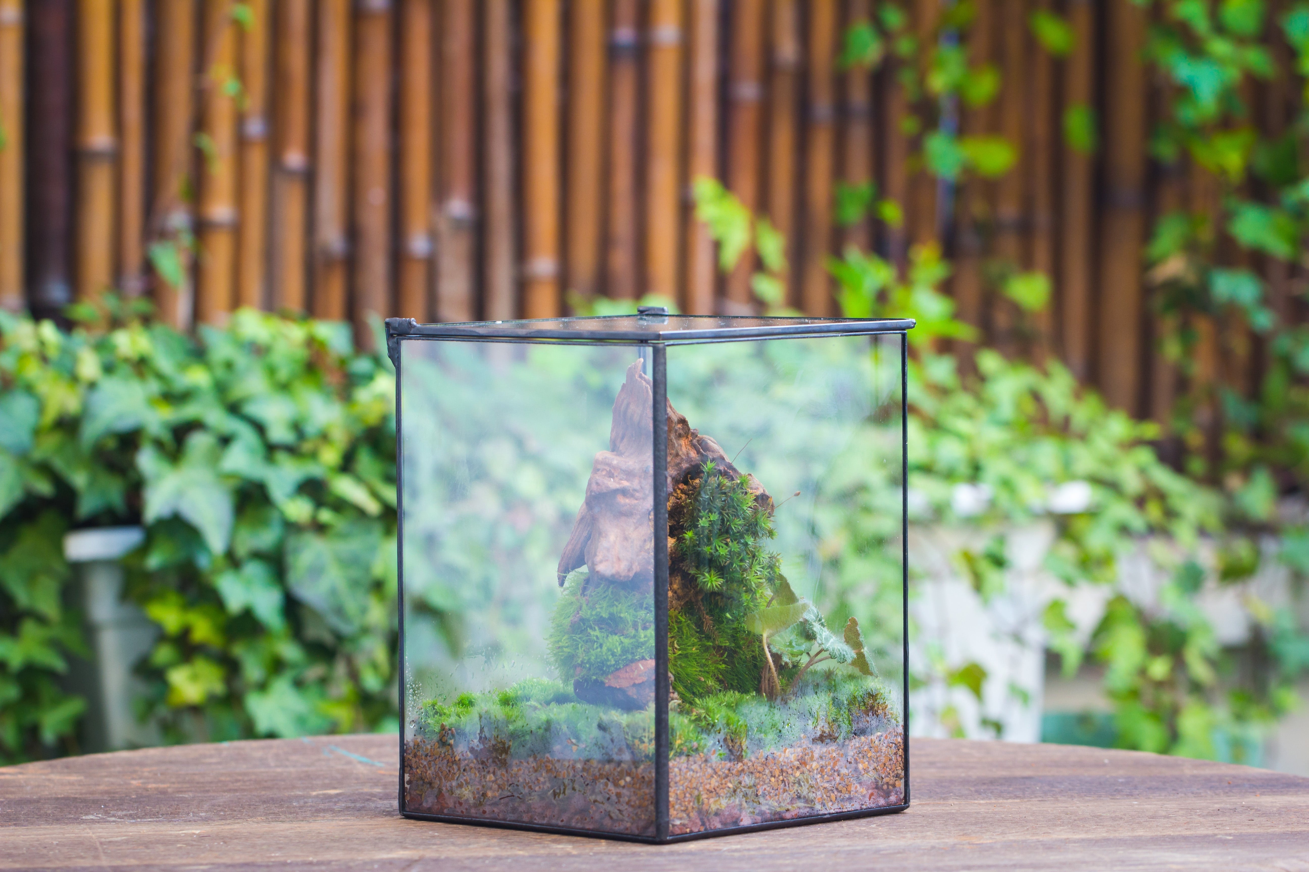 Basic Terrarium Watertight 10