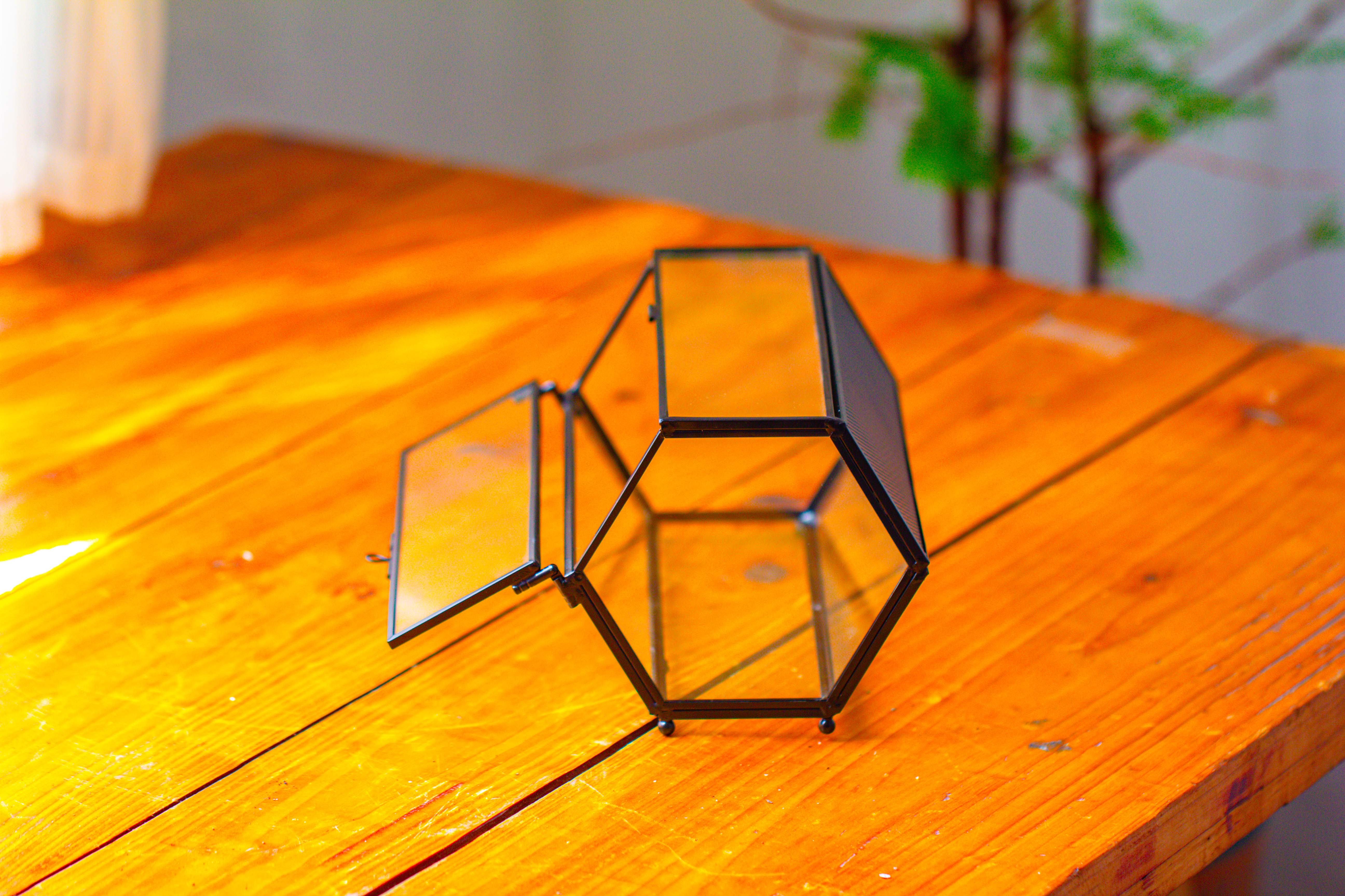 NCYP Long Hexagon Mimi  Geometric Terrarium for Spiders and small Insects - NCYPgarden