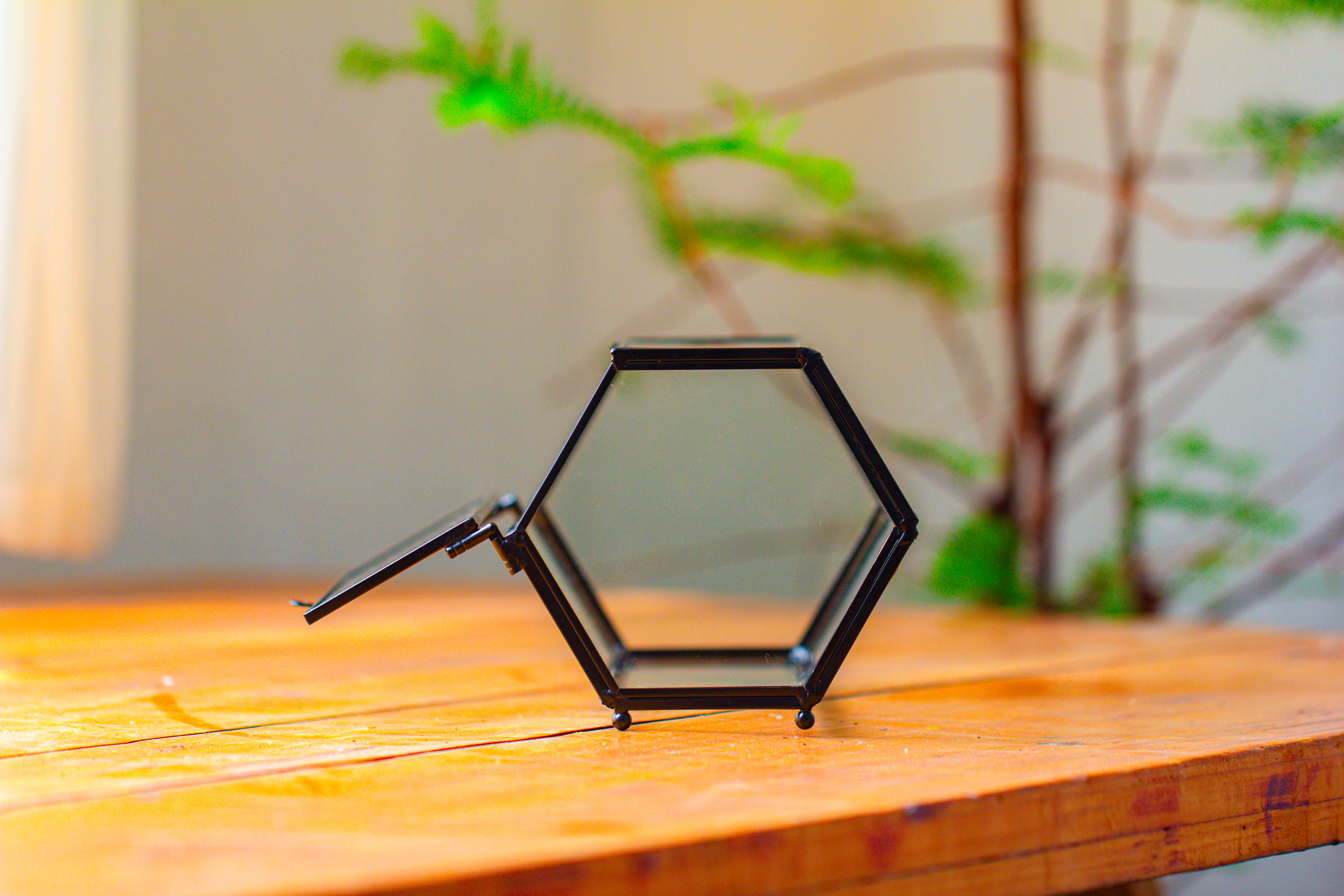 NCYP Long Hexagon Mimi  Geometric Terrarium for Spiders and small Insects - NCYPgarden