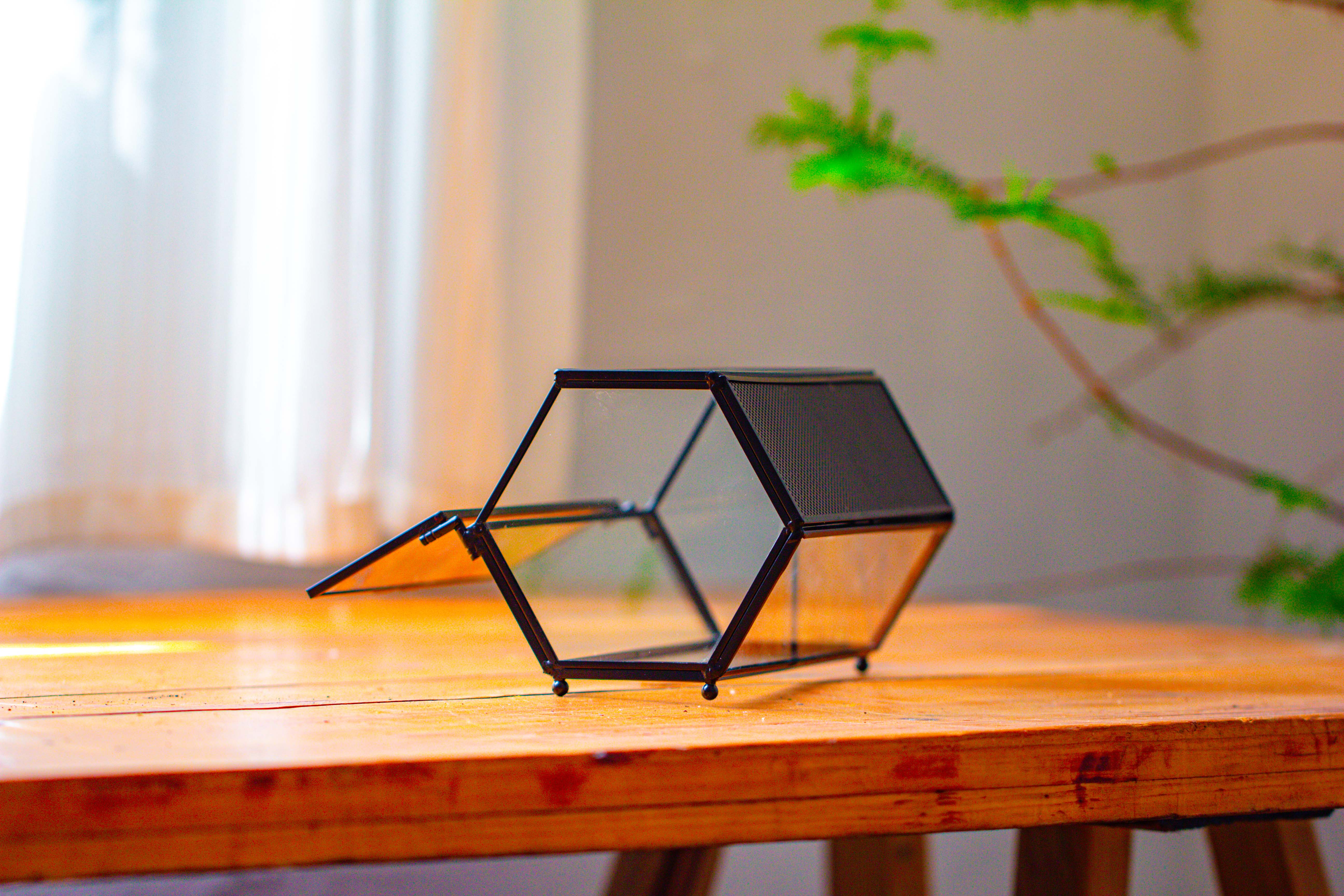 NCYP Long Hexagon Mimi  Geometric Terrarium for Spiders and small Insects - NCYPgarden