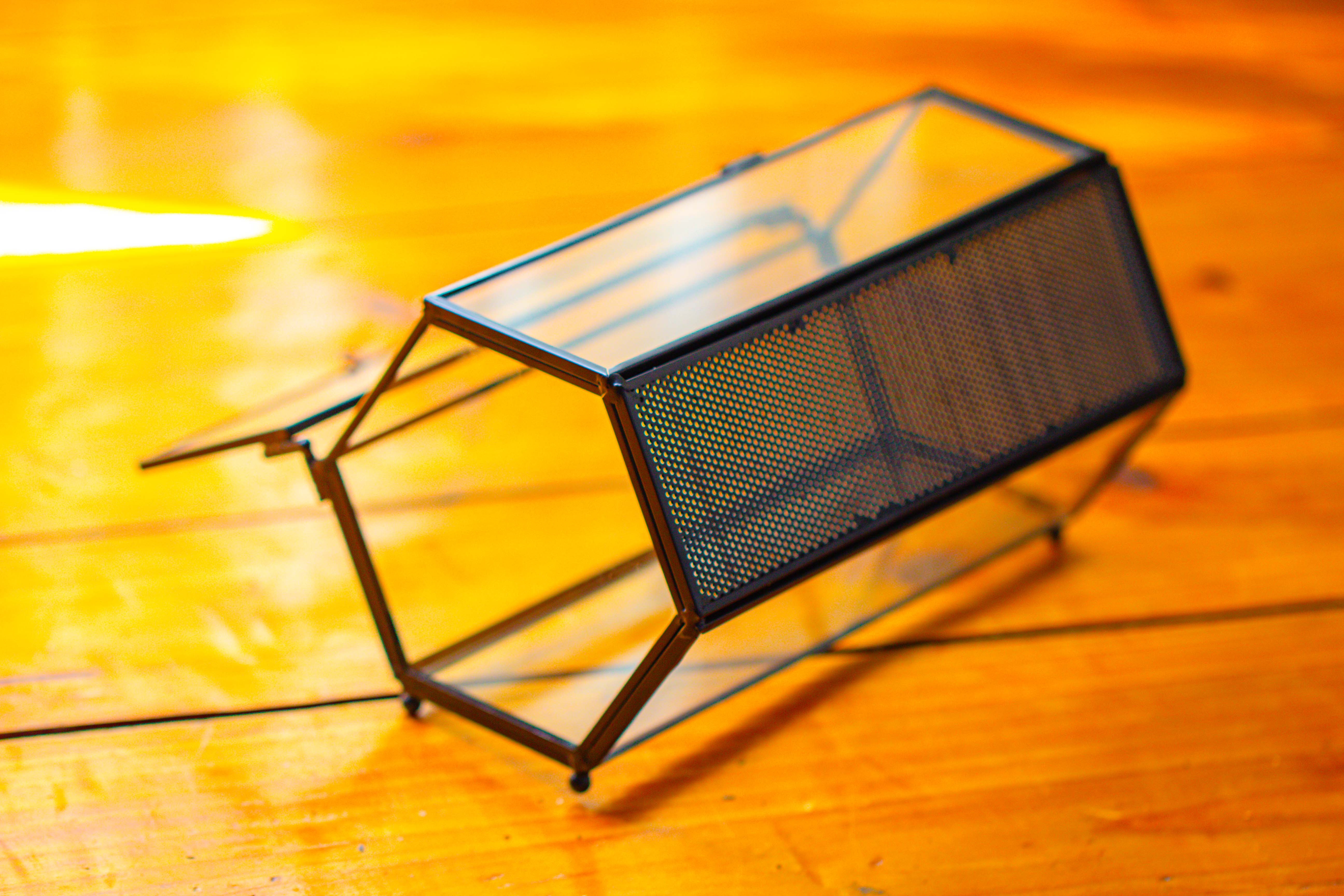 NCYP Long Hexagon Mimi  Geometric Terrarium for Spiders and small Insects - NCYPgarden