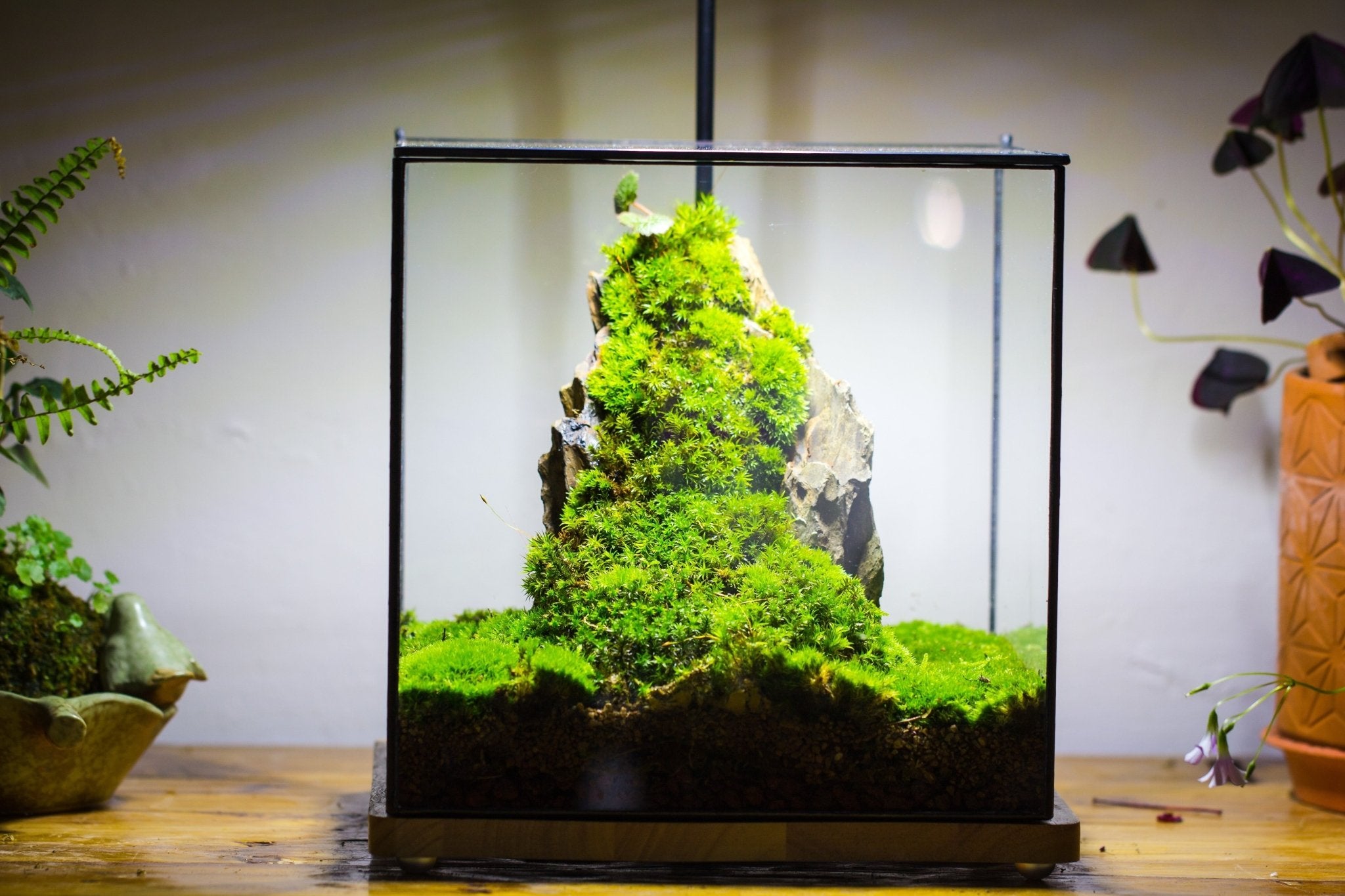 Basic Terrarium Watertight 10