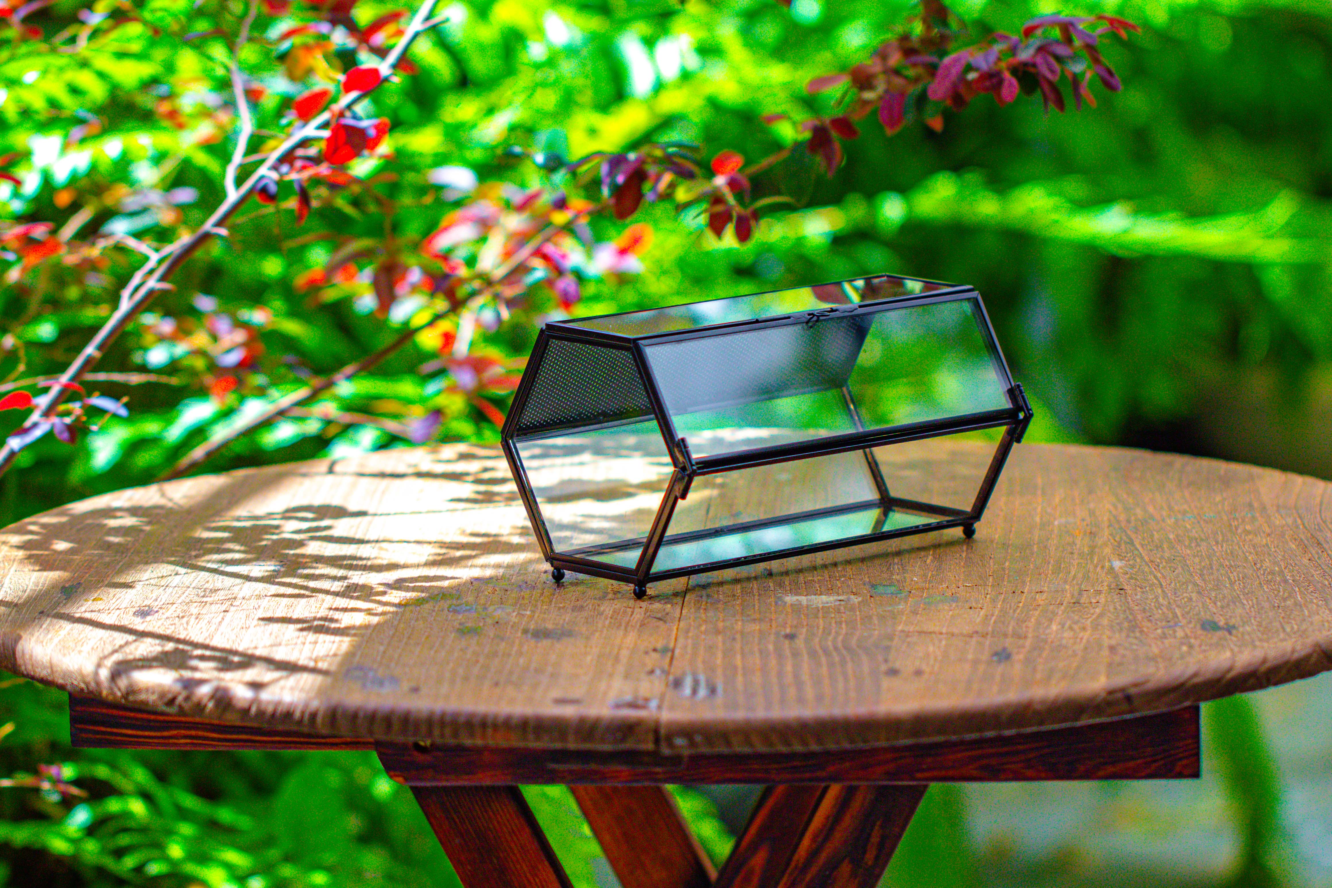 NCYP Long Hexagon Mimi  Geometric Terrarium for Spiders and small Insects - NCYPgarden