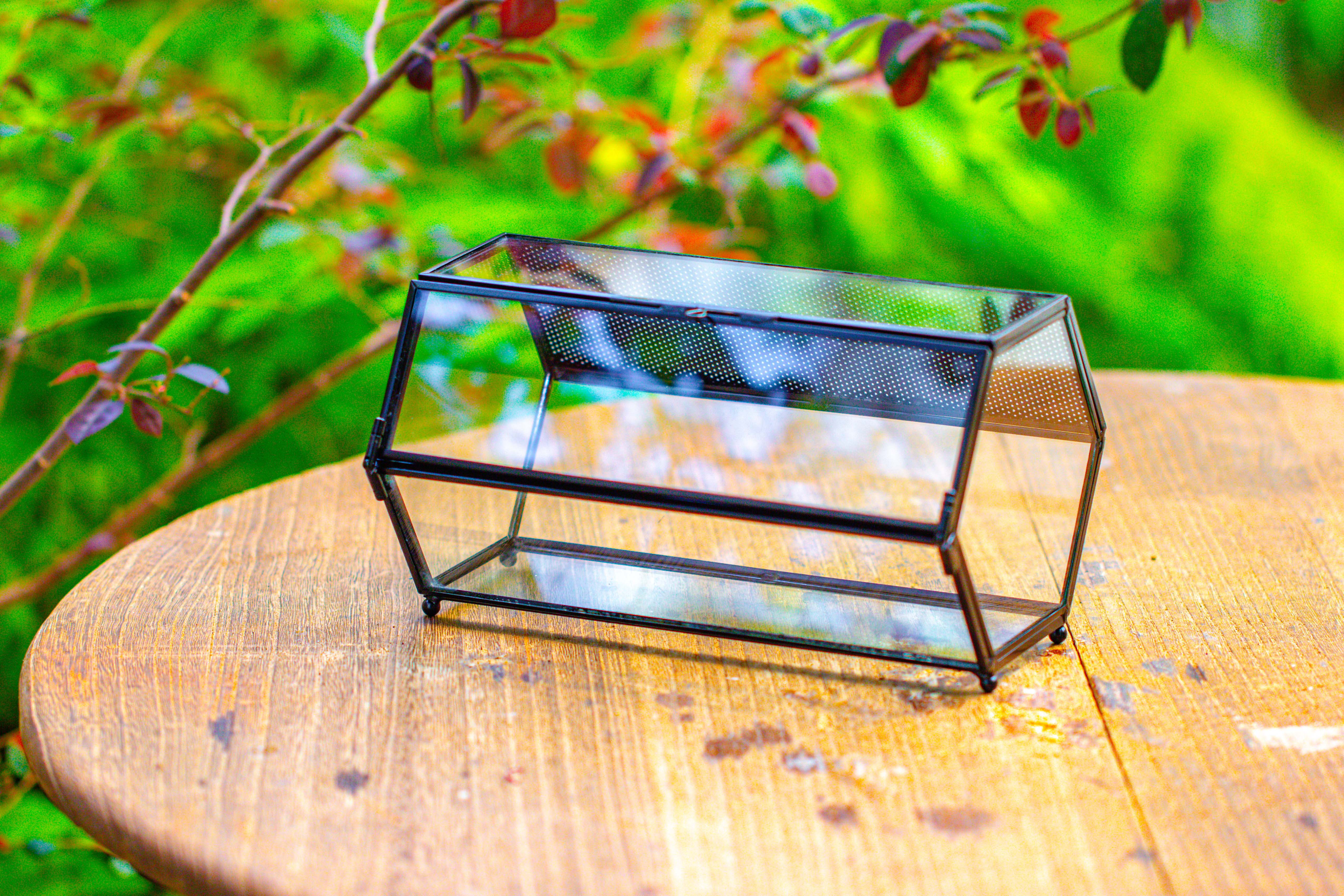 NCYP Long Hexagon Mimi  Geometric Terrarium for Spiders and small Insects - NCYPgarden