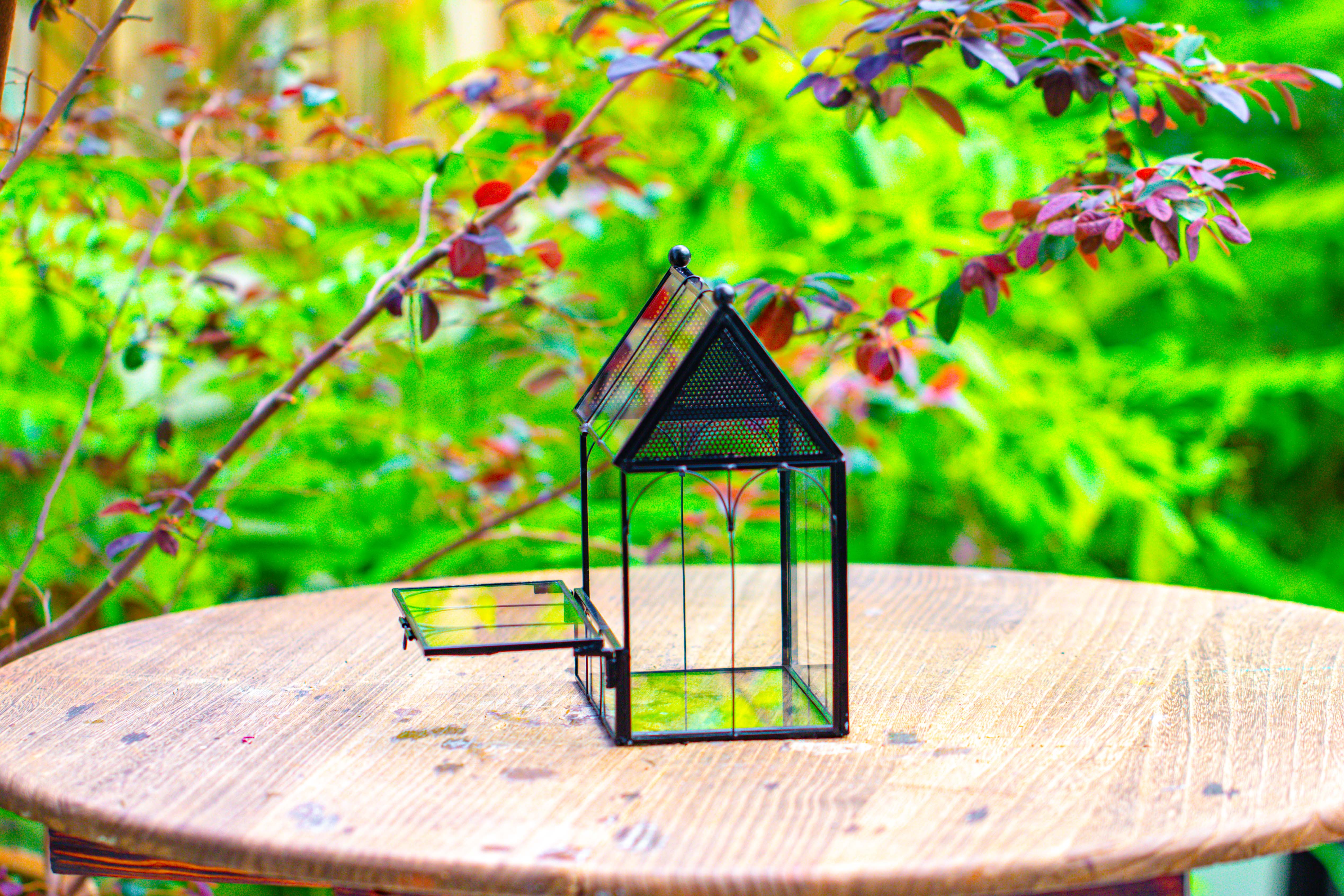 Vintage Mini House Shape Glass Geometric Terrarium for Jumping spider - NCYPgarden