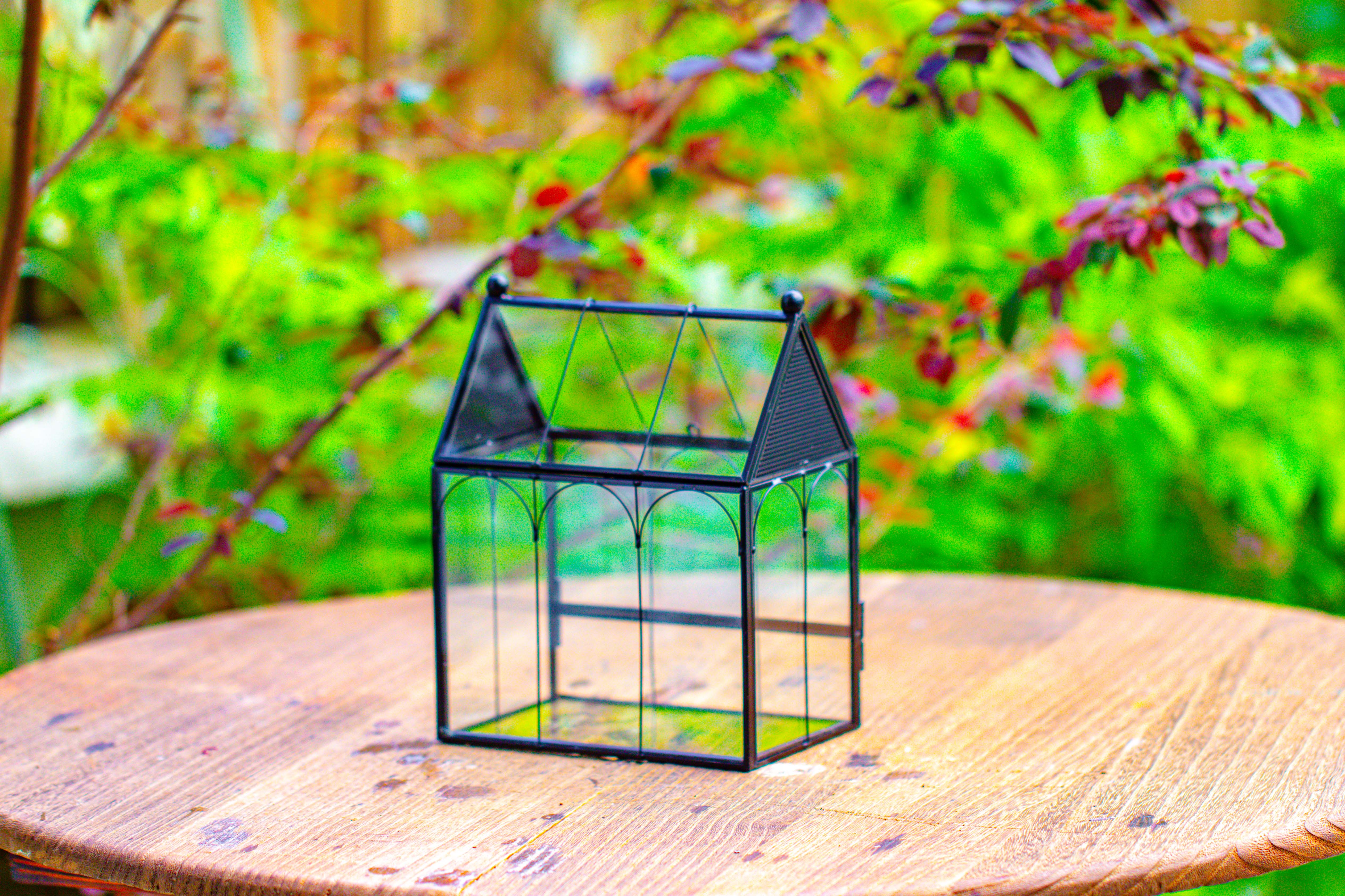 Vintage Mini House Shape Glass Geometric Terrarium for Jumping spider - NCYPgarden