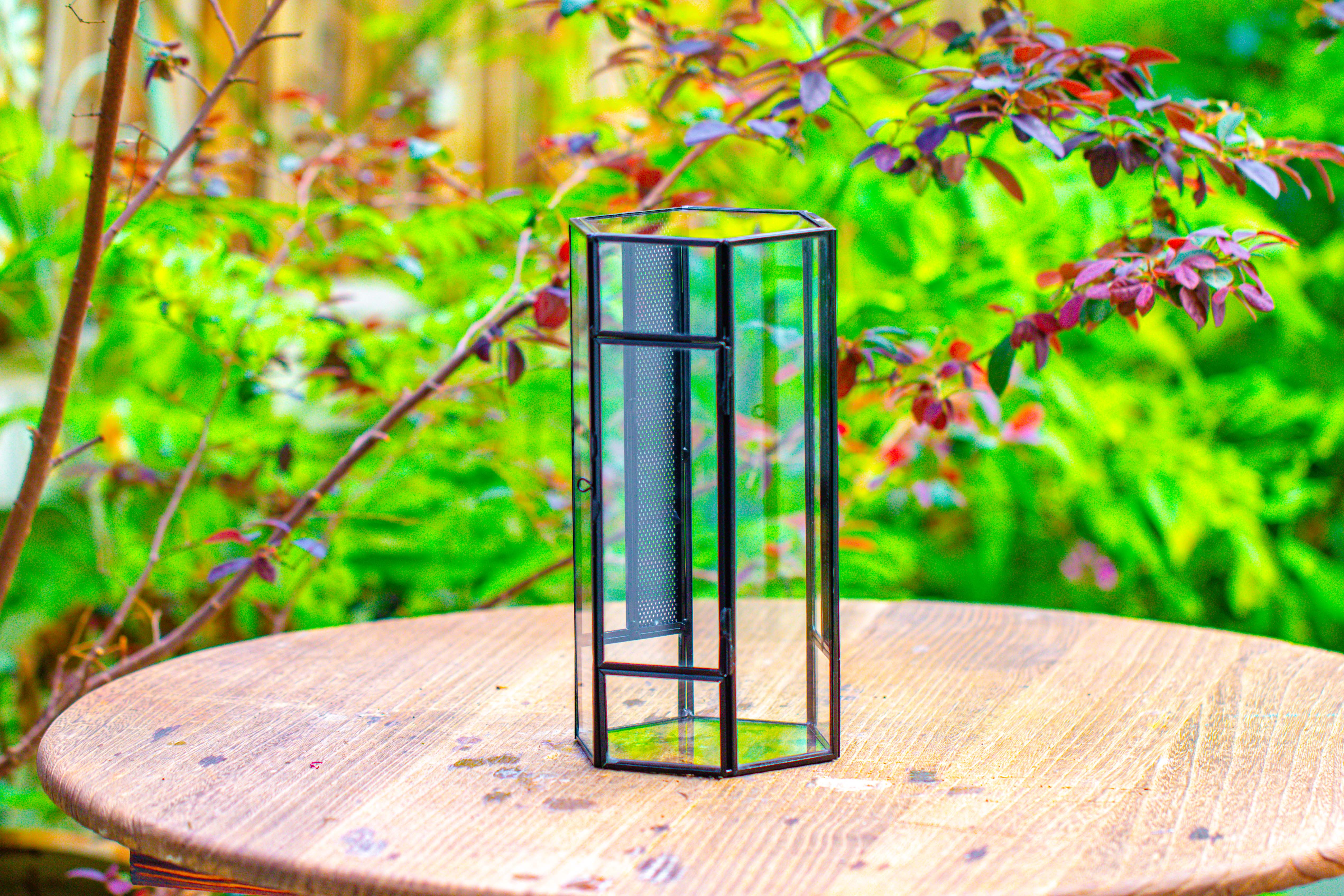 NCYP Tall Hexagon Mimi  Geometric Terrarium for Spiders and small Insects - NCYPgarden