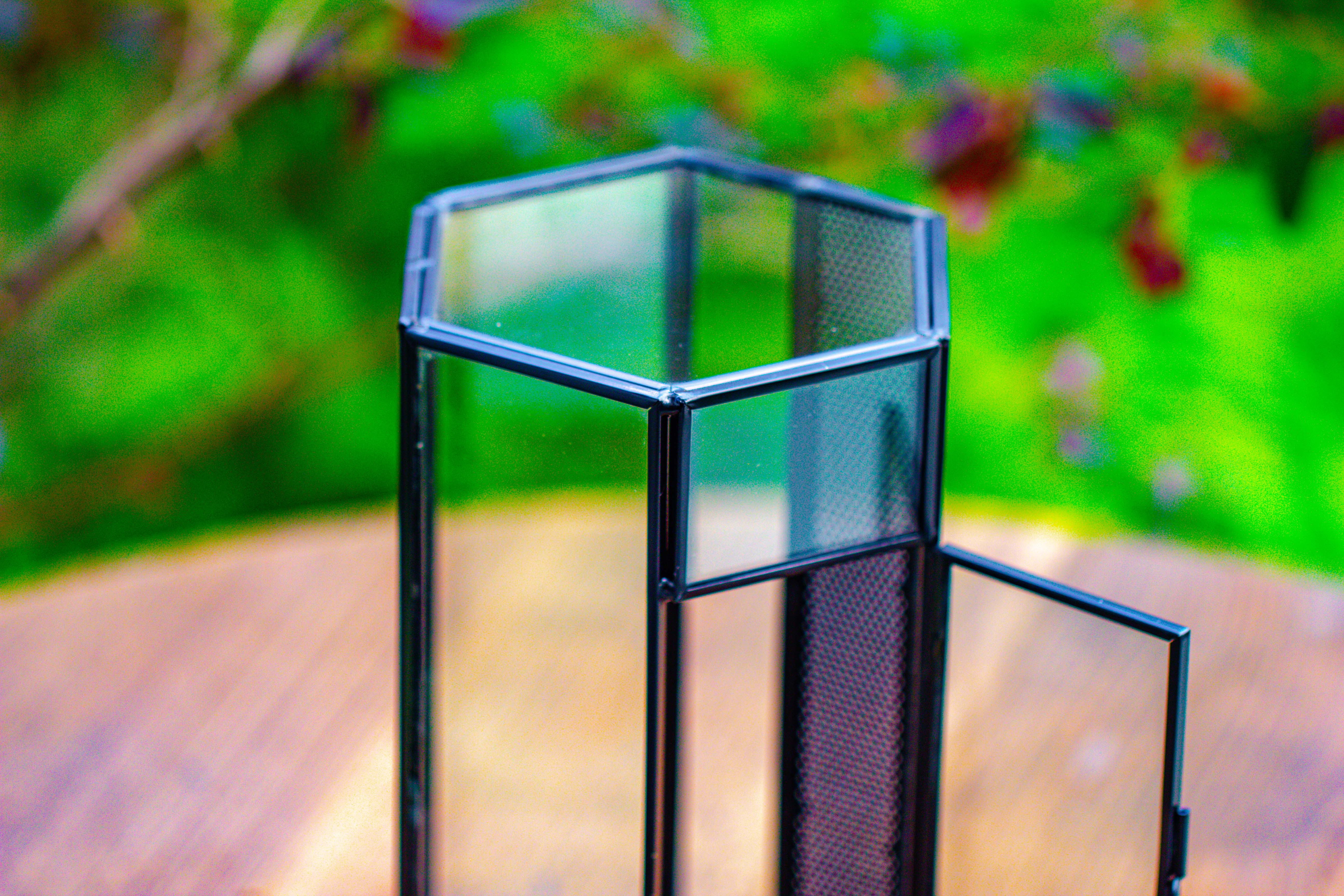 NCYP Tall Hexagon Mimi  Geometric Terrarium for Spiders and small Insects - NCYPgarden