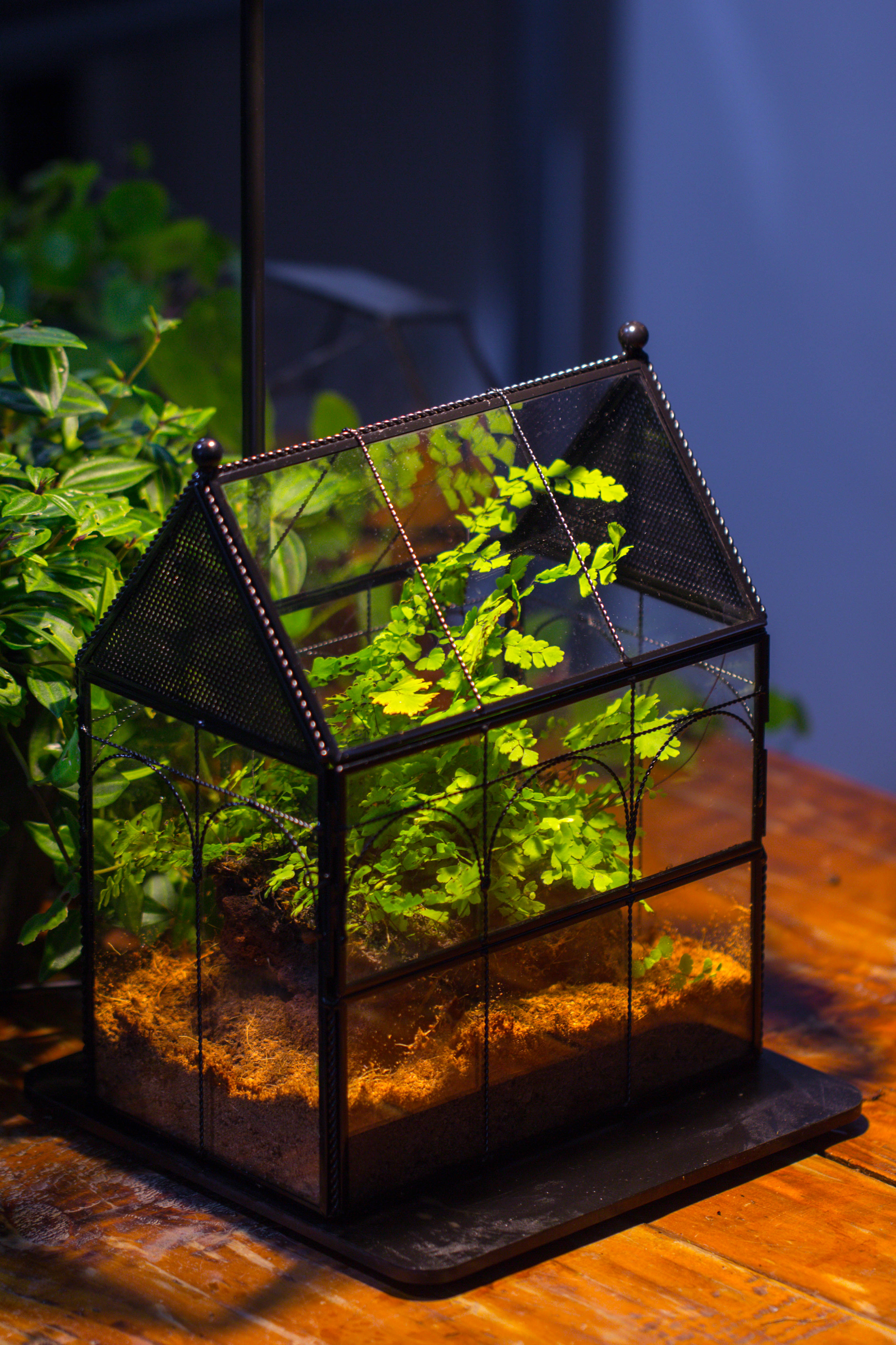 Handmade Twisted Wire House Shape Glass Geometric Terrarium with LED Light Set, Snail Jumping Spider Enclosure, Insect Container Set - NCYPgarden