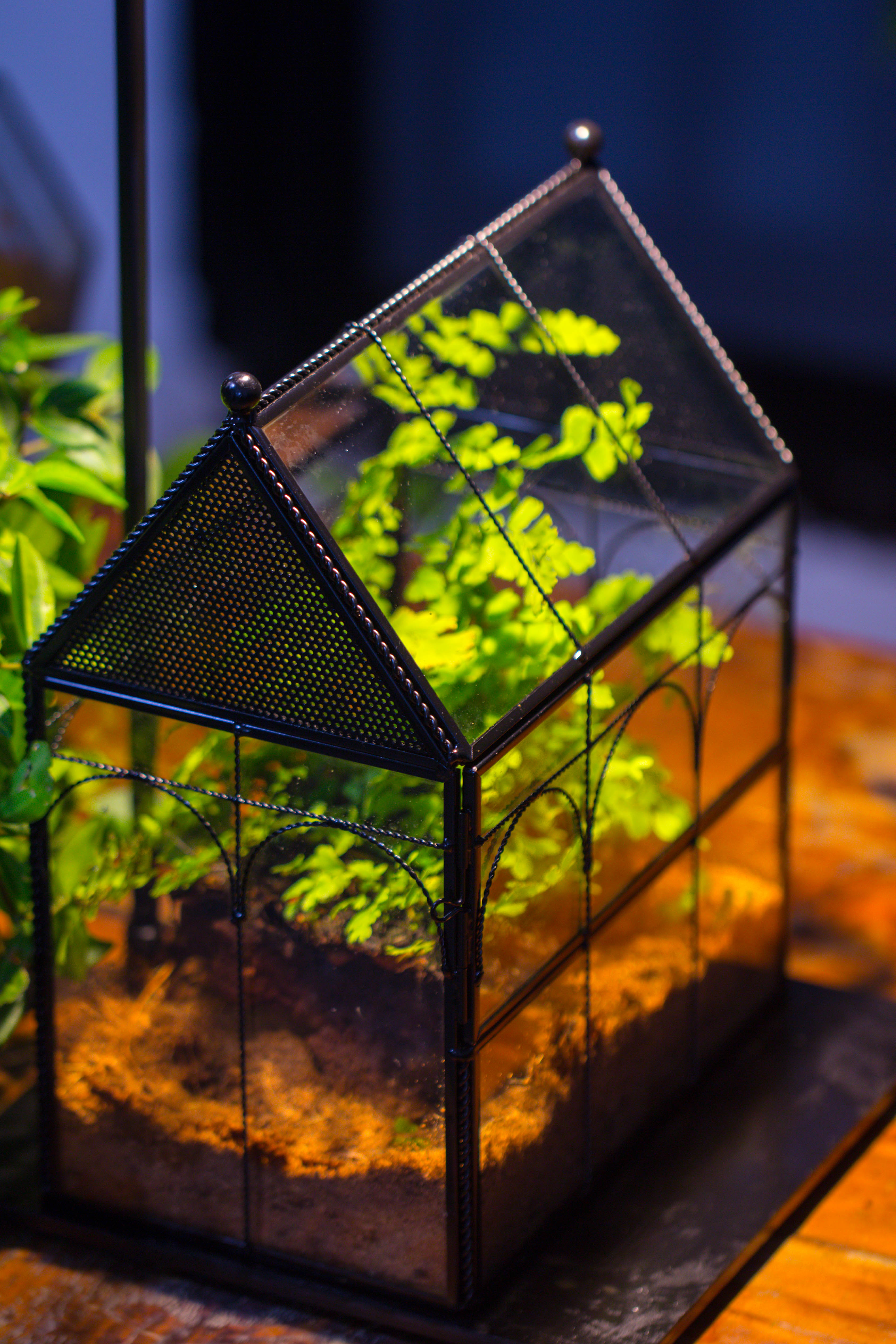 NCYP Vintage House Shape Tin and Glass Geometric Terrarium, with side door, with Mesh / vent holes for small Insects Pet - NCYPgarden