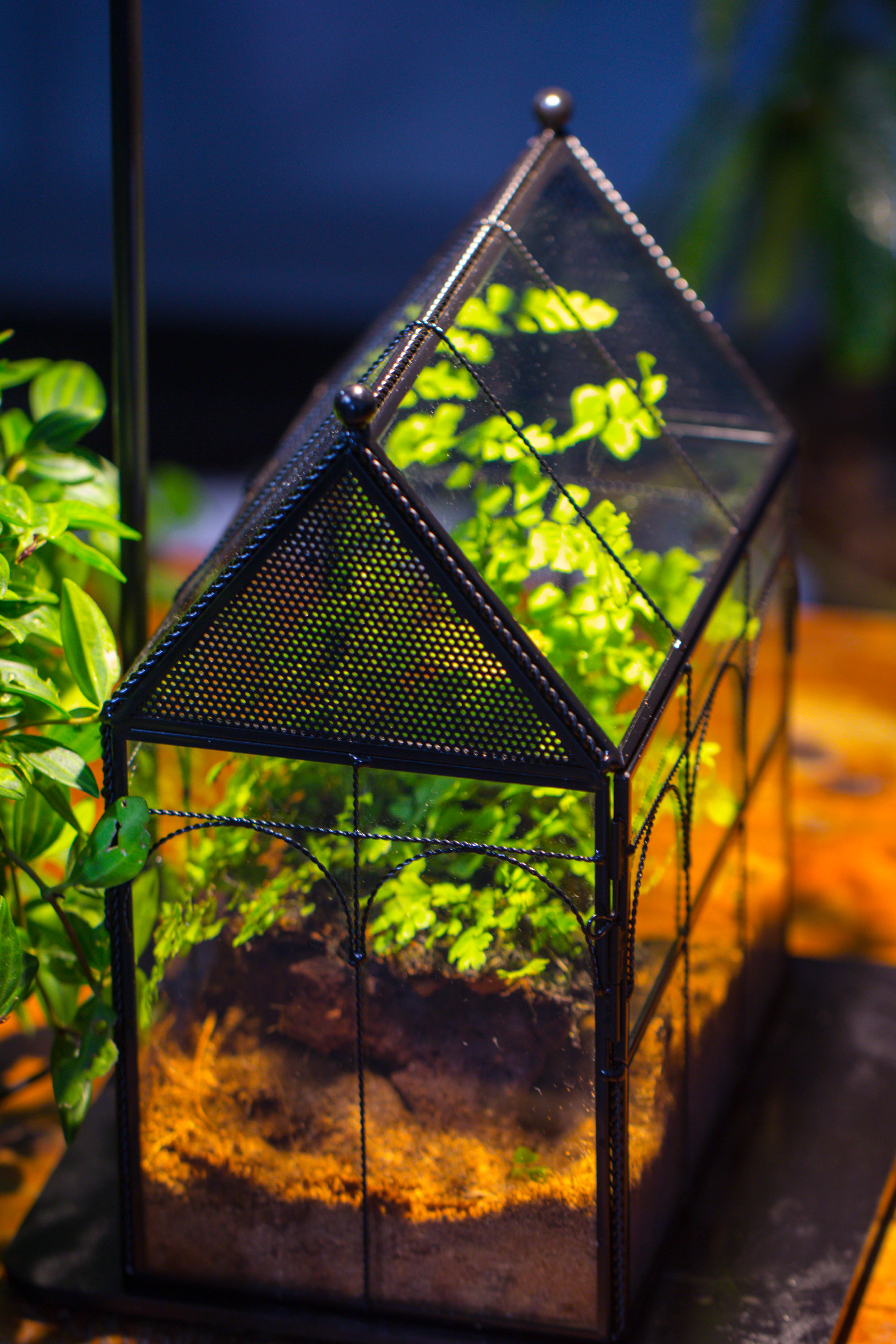 NCYP Vintage House Shape Tin and Glass Geometric Terrarium, with side door, with Mesh / vent holes for small Insects Pet - NCYPgarden