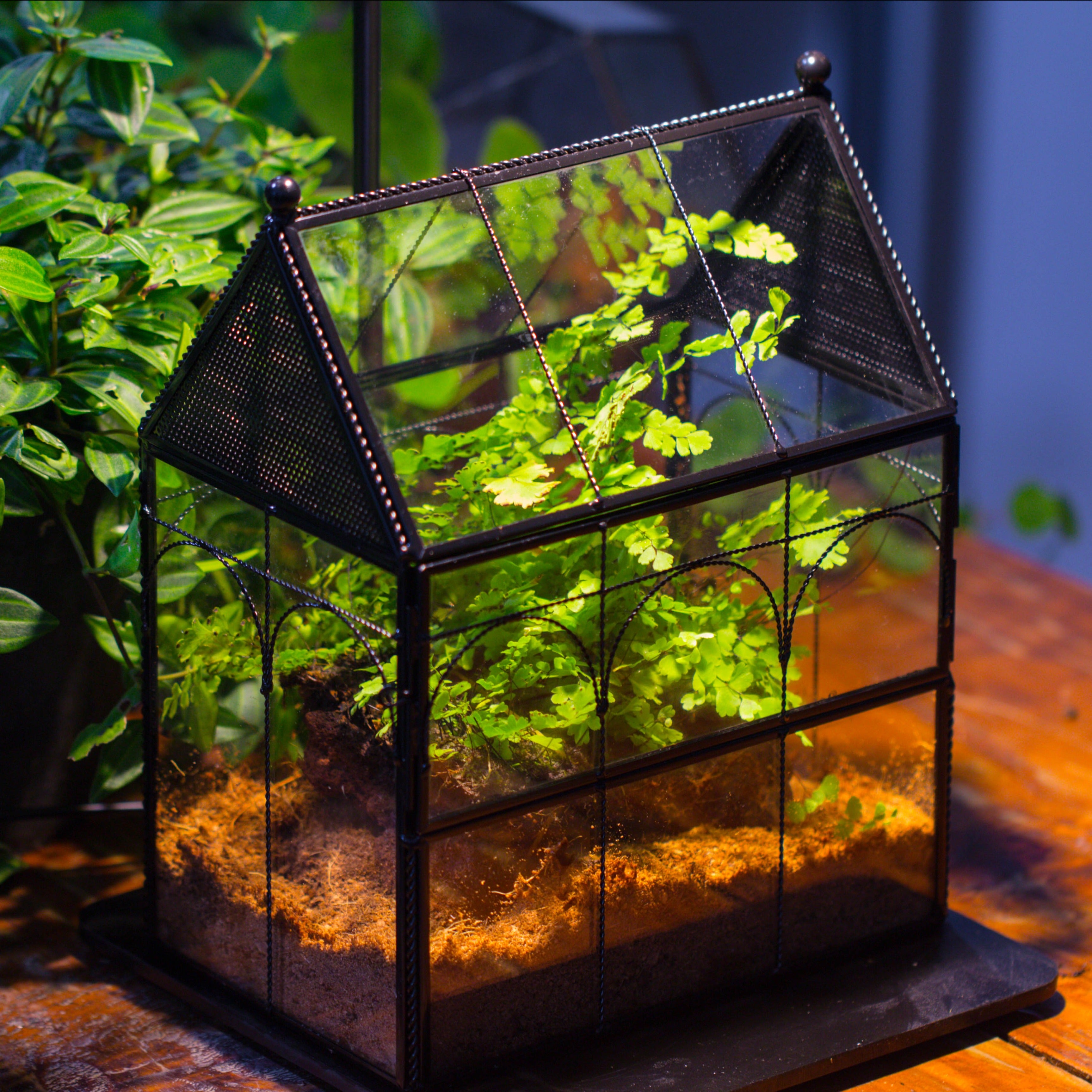 NCYP Vintage House Shape Tin and Glass Geometric Terrarium, with side door, with Mesh / vent holes for small Insects Pet - NCYPgarden