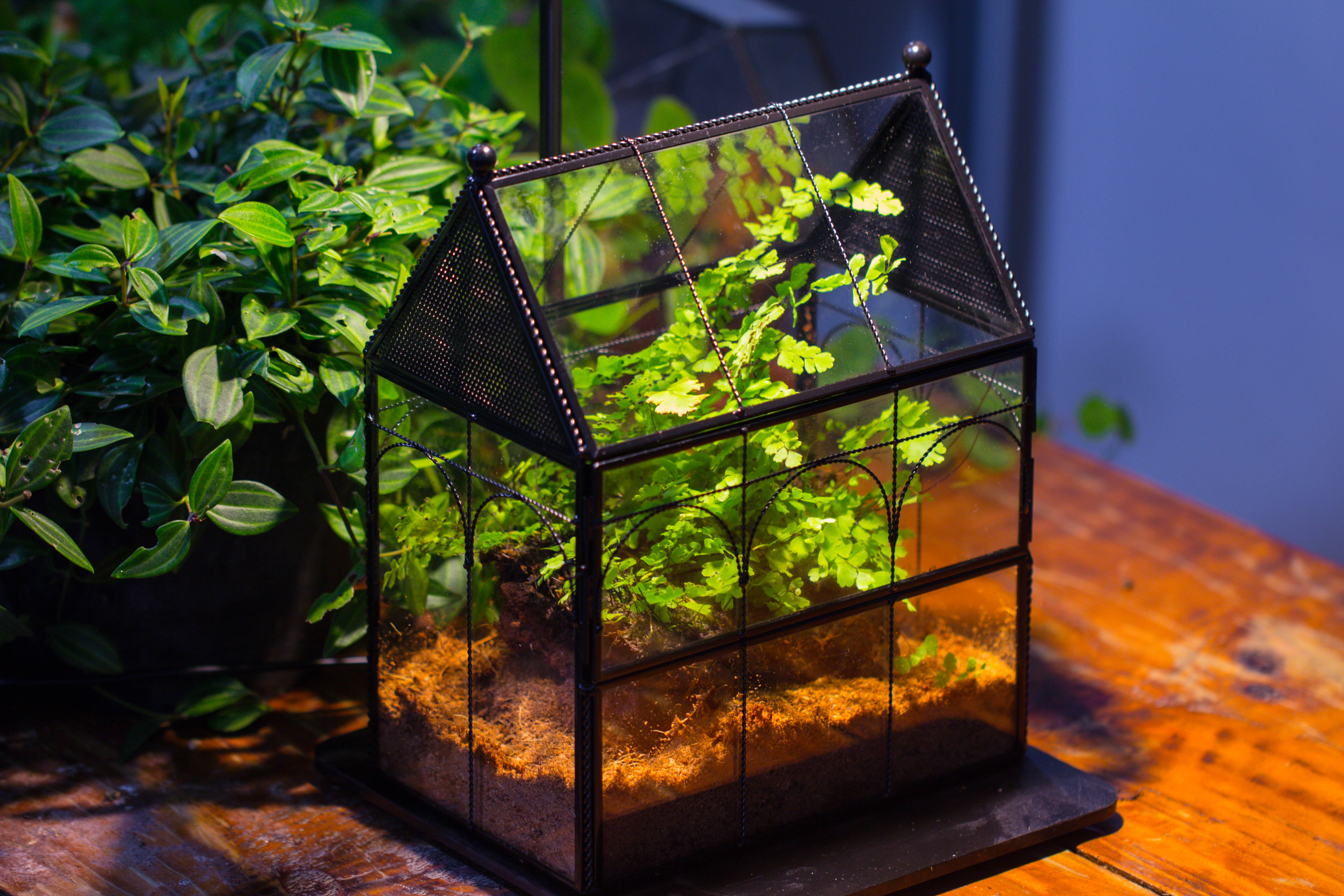 Handmade Twisted Wire House Shape Glass Geometric Terrarium with LED Light Set, Snail Jumping Spider Enclosure, Insect Container Set - NCYPgarden