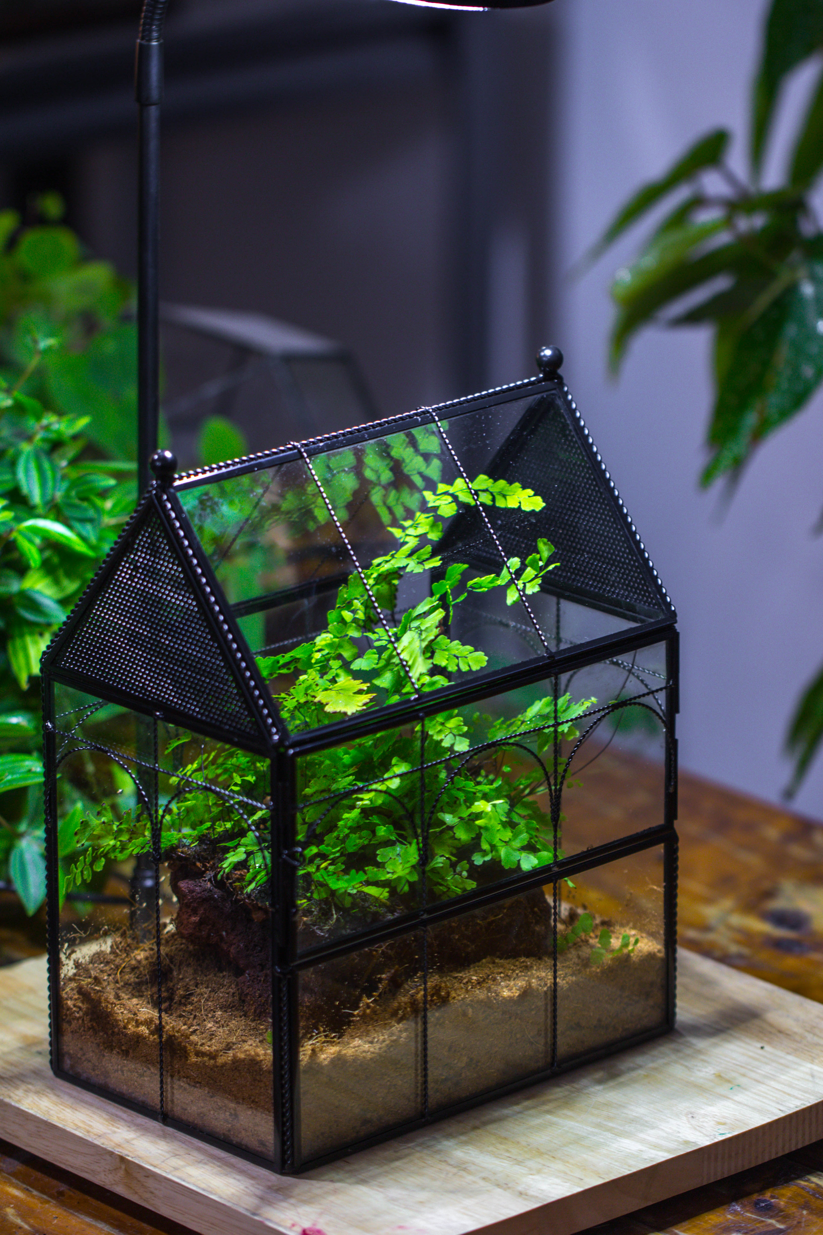 Handmade Twisted Wire House Shape Glass Geometric Terrarium with LED Light Set, Snail Jumping Spider Enclosure, Insect Container Set - NCYPgarden