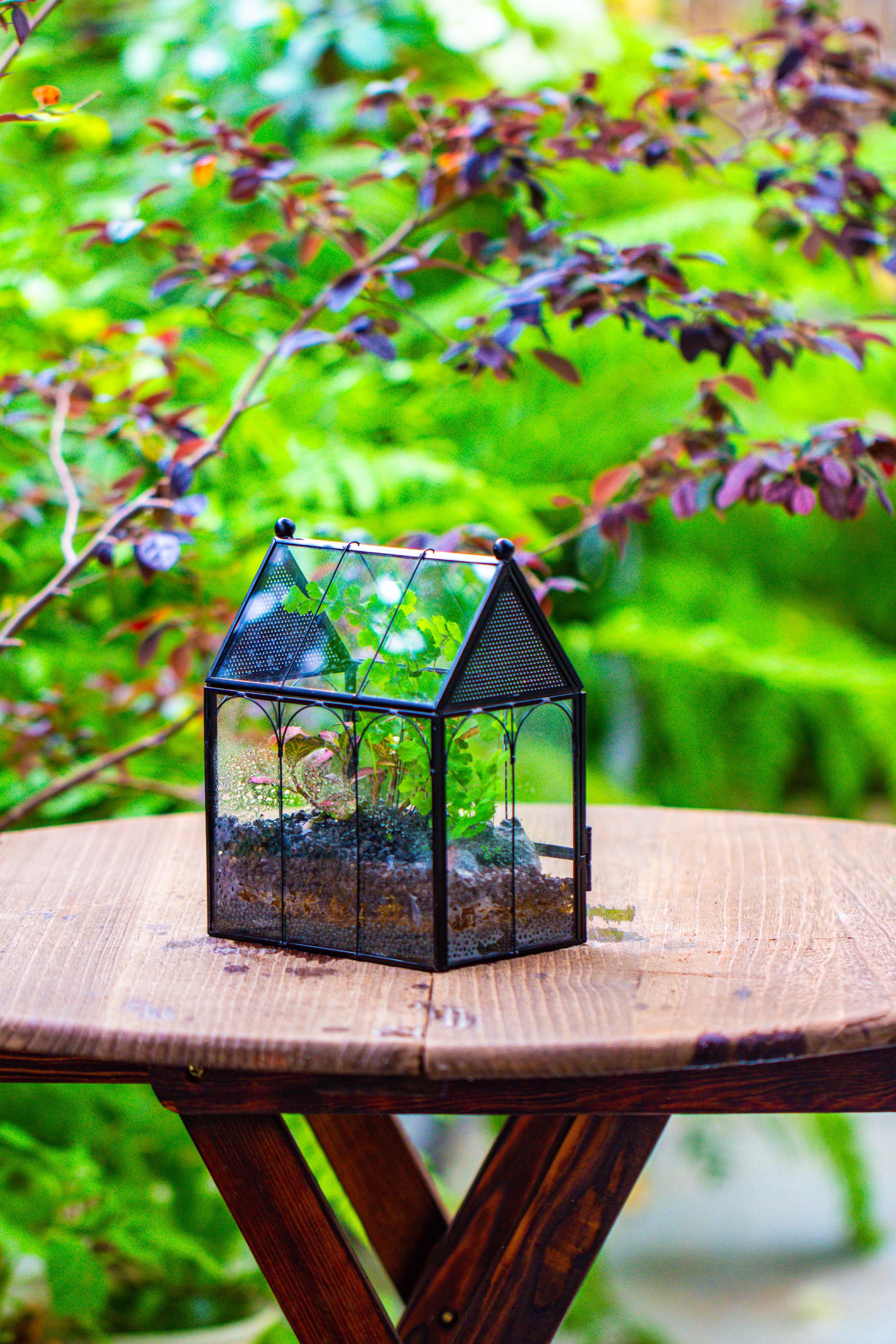 Vintage Mini House Shape Glass Geometric Terrarium for Jumping spider - NCYPgarden