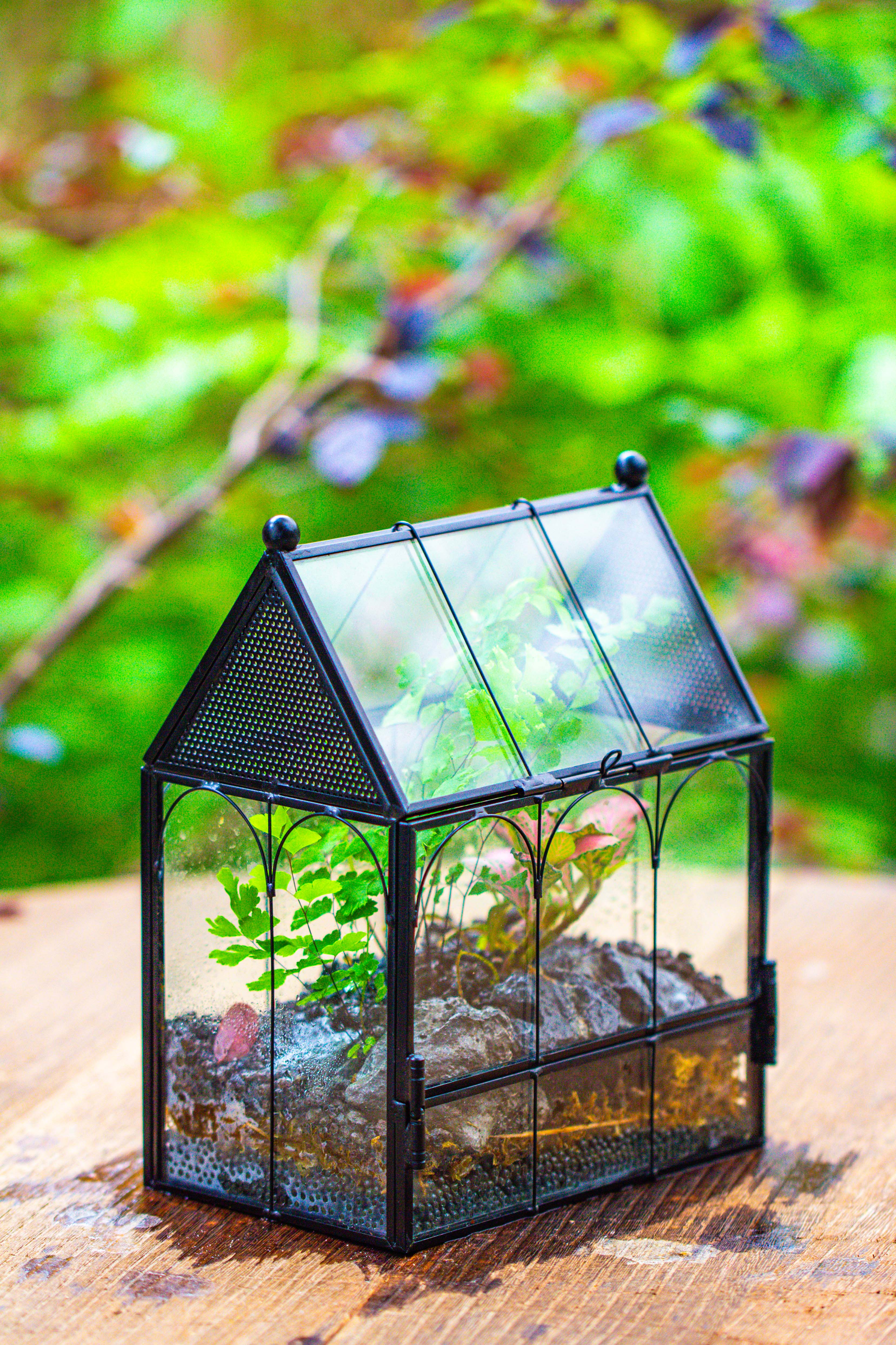 Vintage Mini House Shape Glass Geometric Terrarium for Jumping spider - NCYPgarden