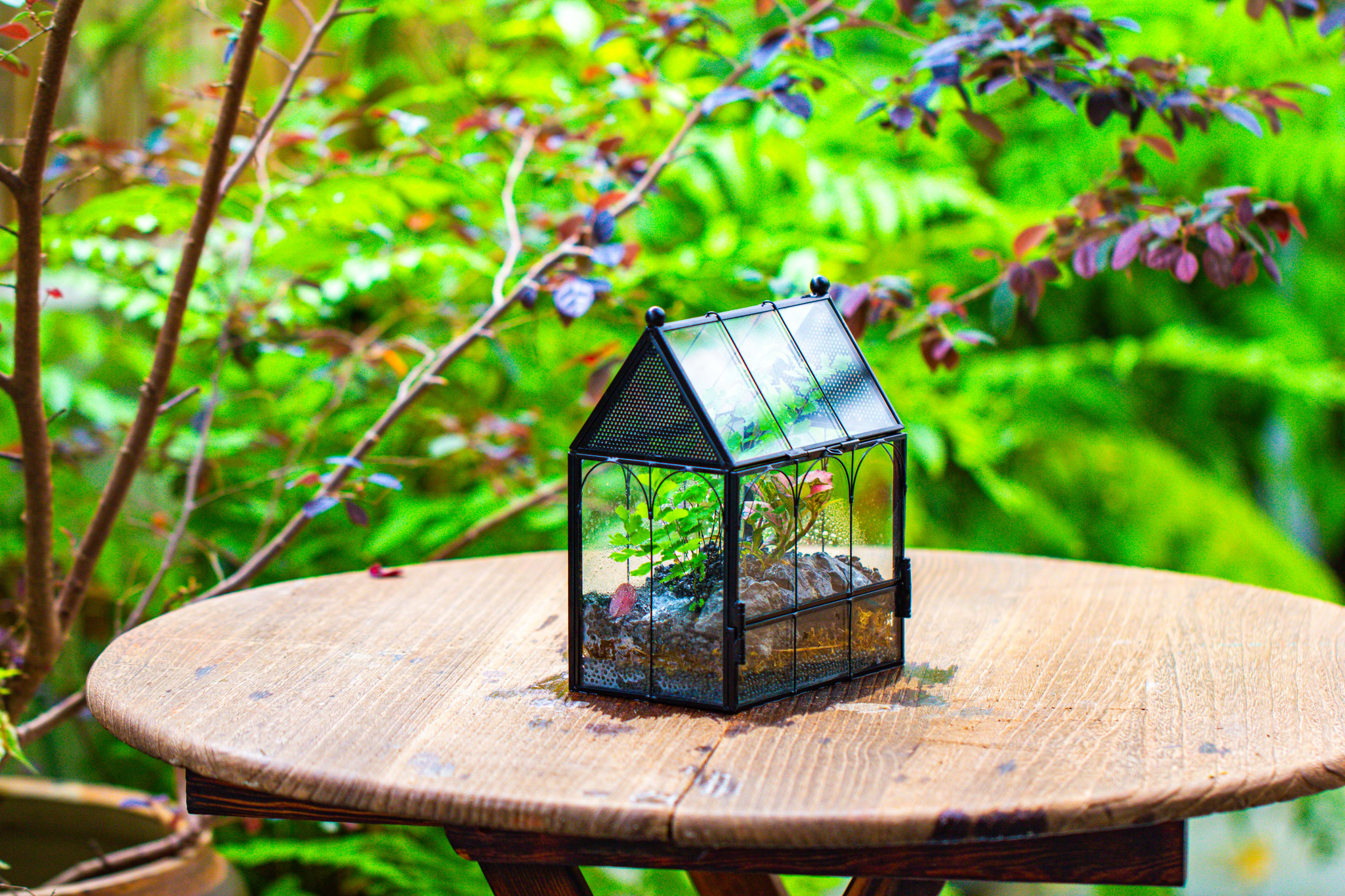 Vintage Mini House Shape Glass Geometric Terrarium for Jumping spider - NCYPgarden