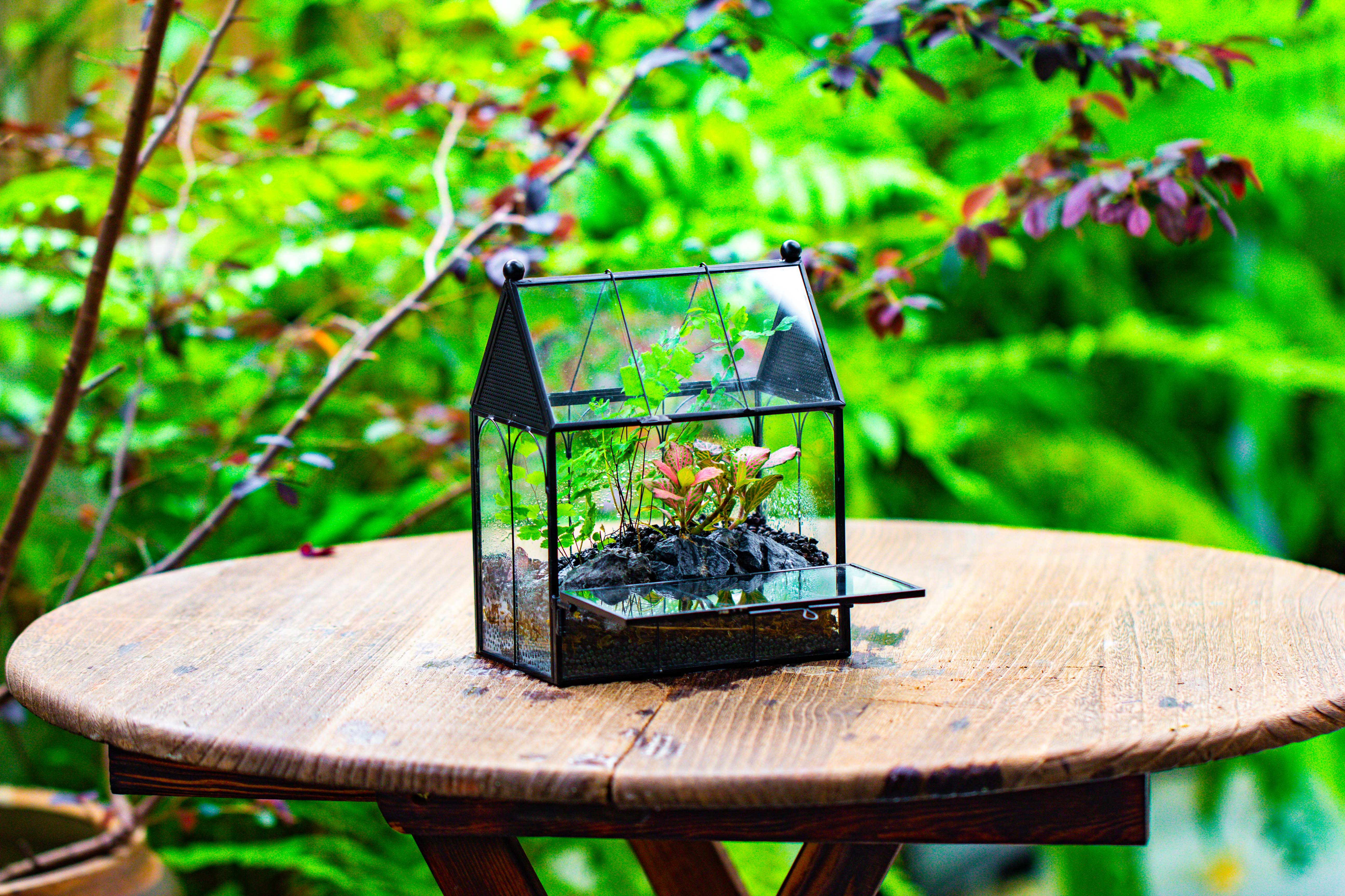 Vintage Mini House Shape Glass Geometric Terrarium for Jumping spider - NCYPgarden