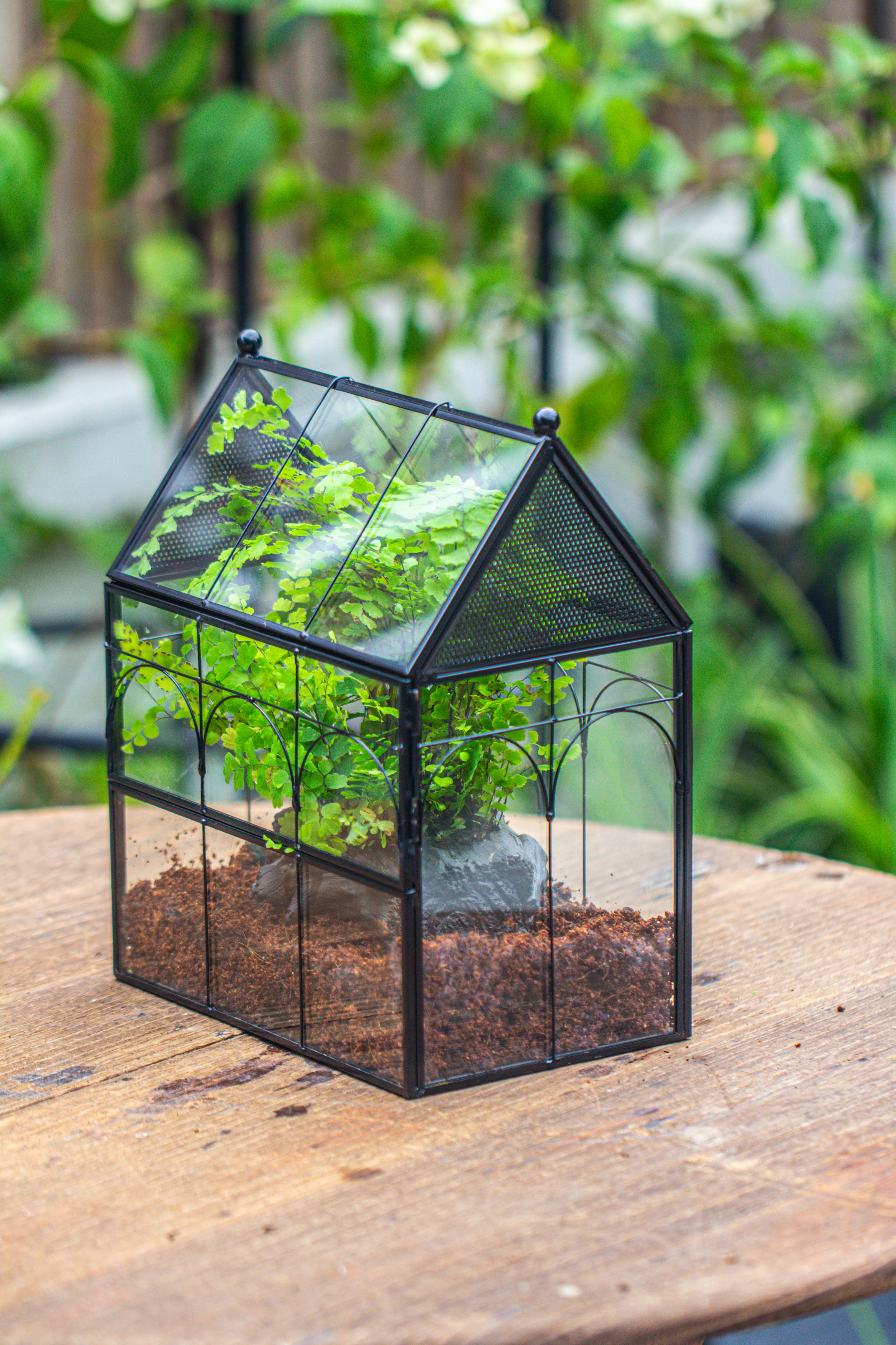 NCYP Vintage House Shape Tin and Glass Geometric Terrarium, with side door, with Mesh / vent holes for small Insects Pet building set - NCYPgarden