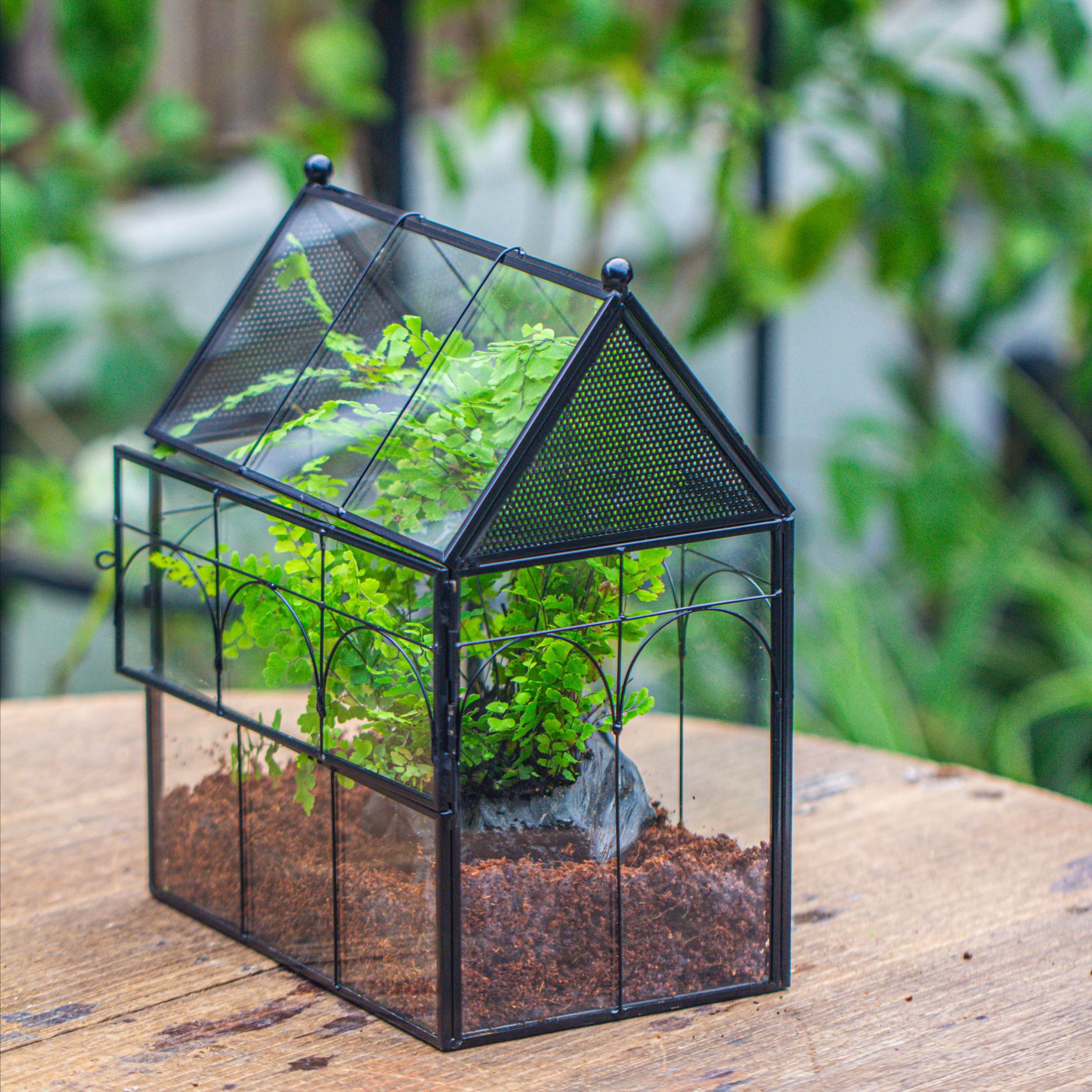 NCYP Vintage House Shape Tin and Glass Geometric Terrarium, with side door, with Mesh / vent holes for small Insects Pet building set - NCYPgarden