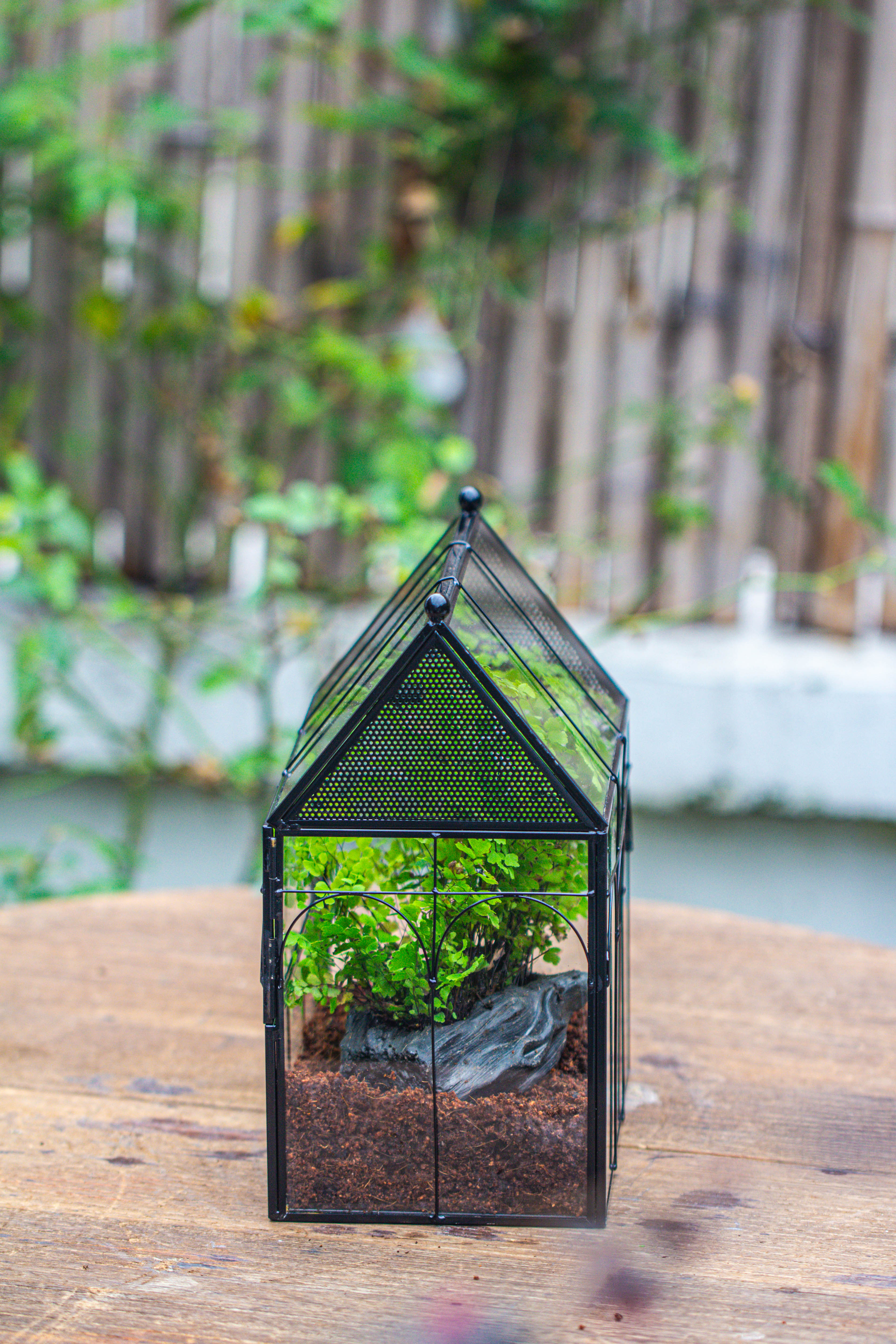 NCYP Vintage House Shape Tin and Glass Geometric Terrarium, with side door, with Mesh / vent holes for small Insects Pet building set - NCYPgarden